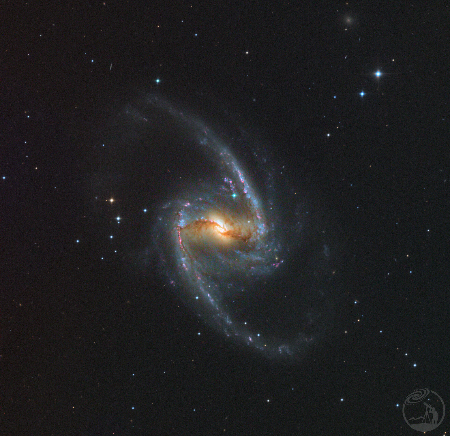 NGC1365