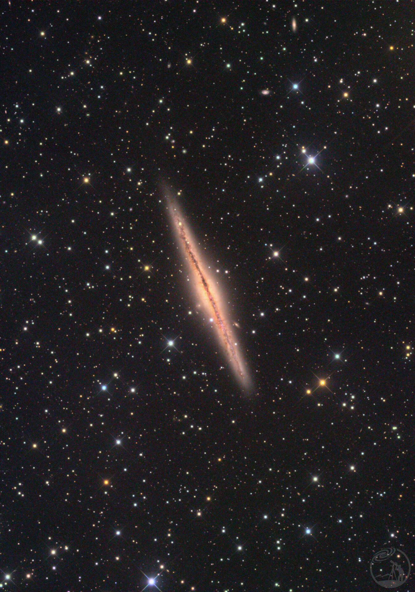 NGC891