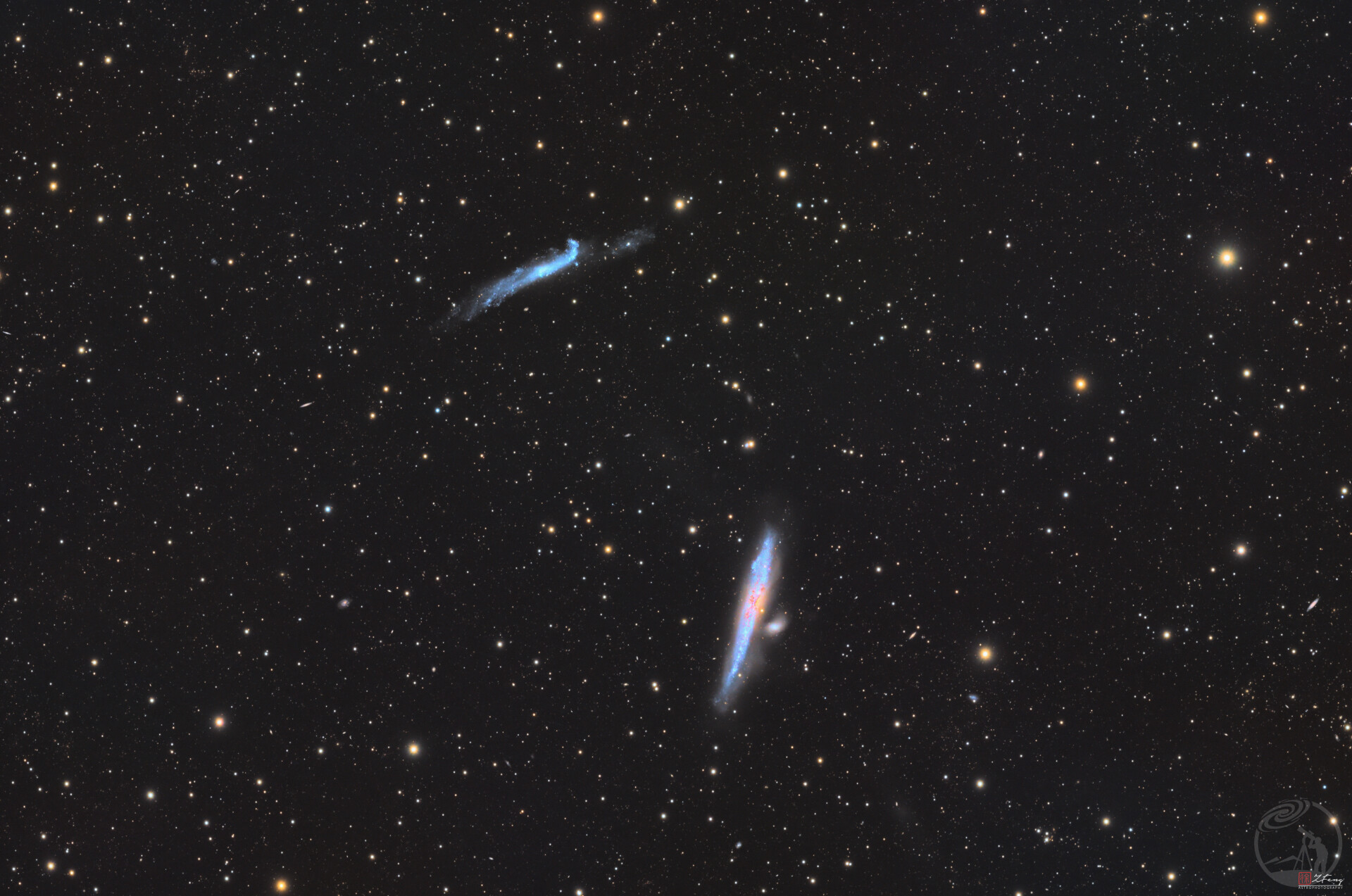 NGC4631