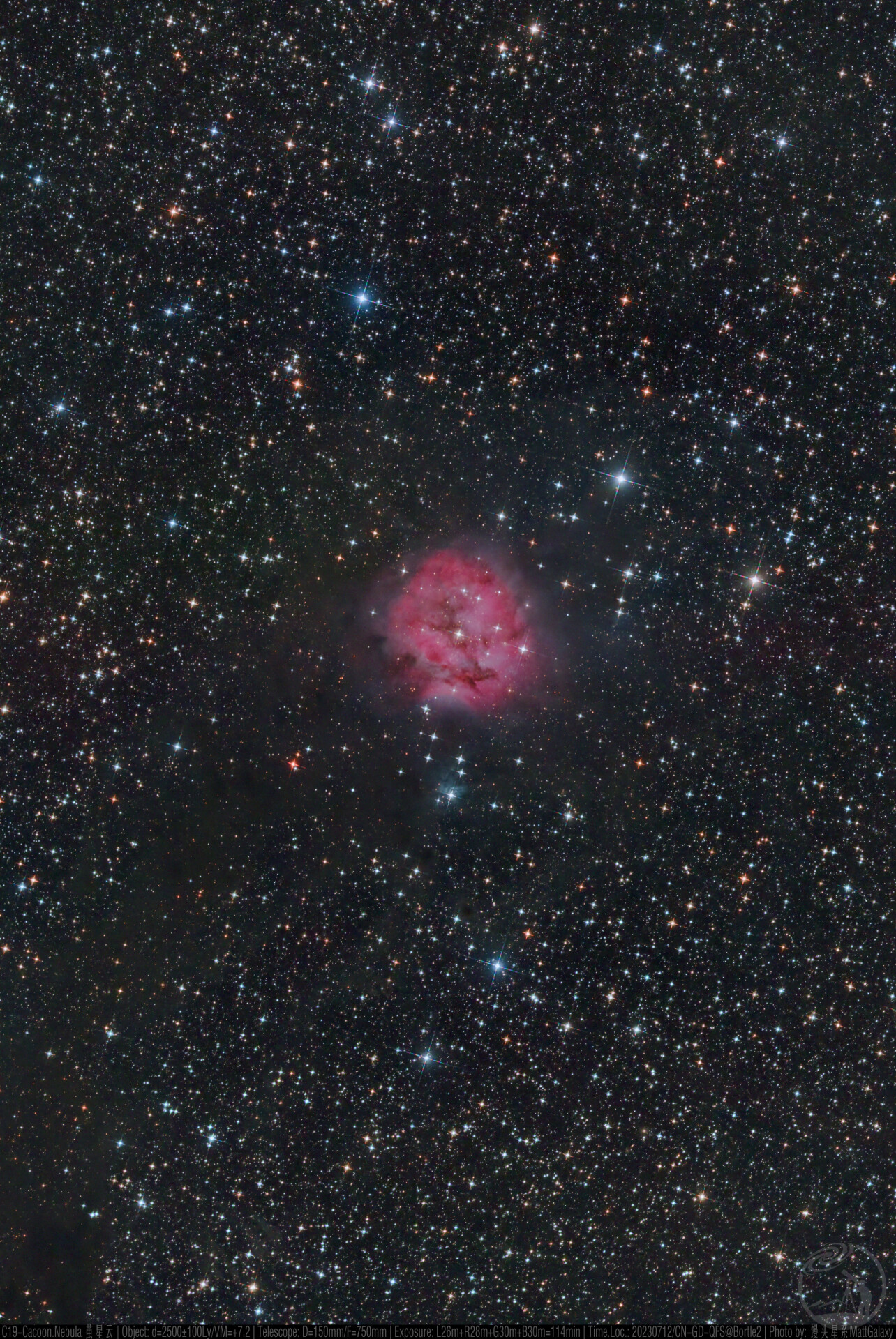 繁星与花朵（C19-Cocoon.Nebula 茧星云）