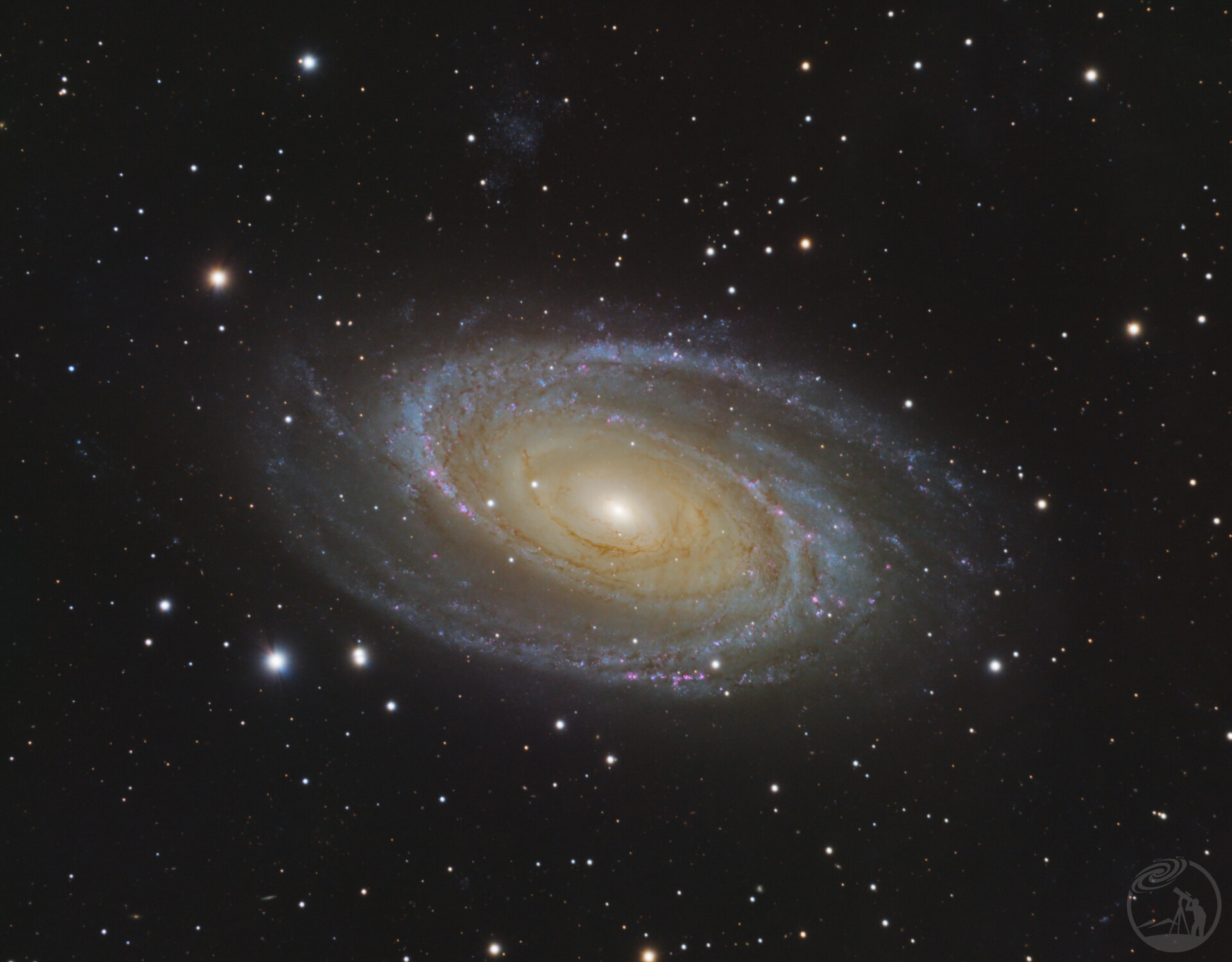 M81
