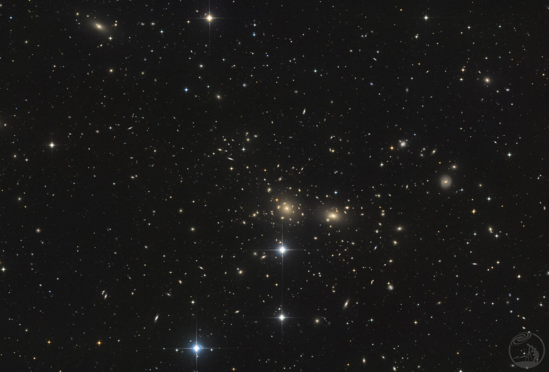 遥远的后发座星系团Abell 1656