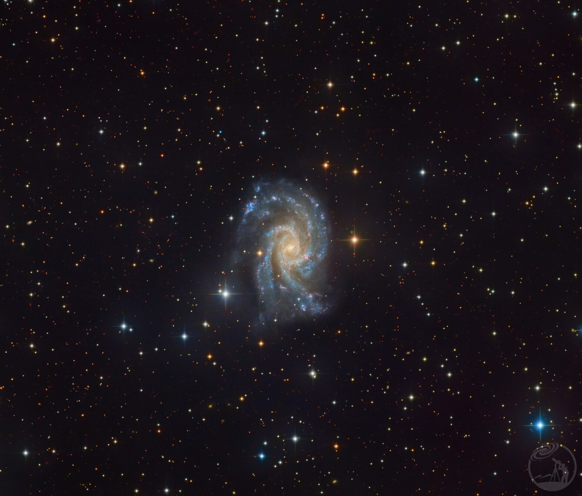 NGC2835