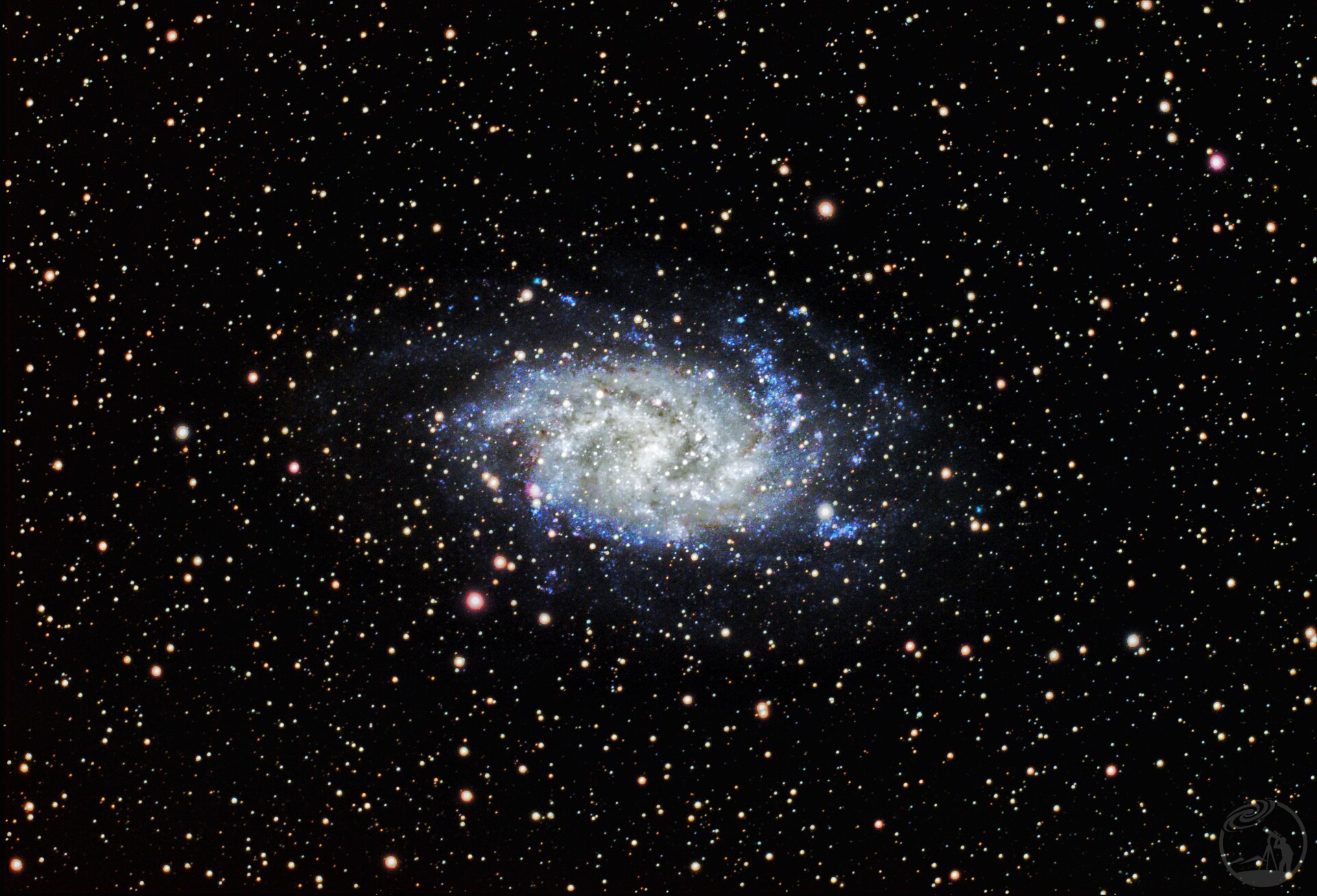 M33