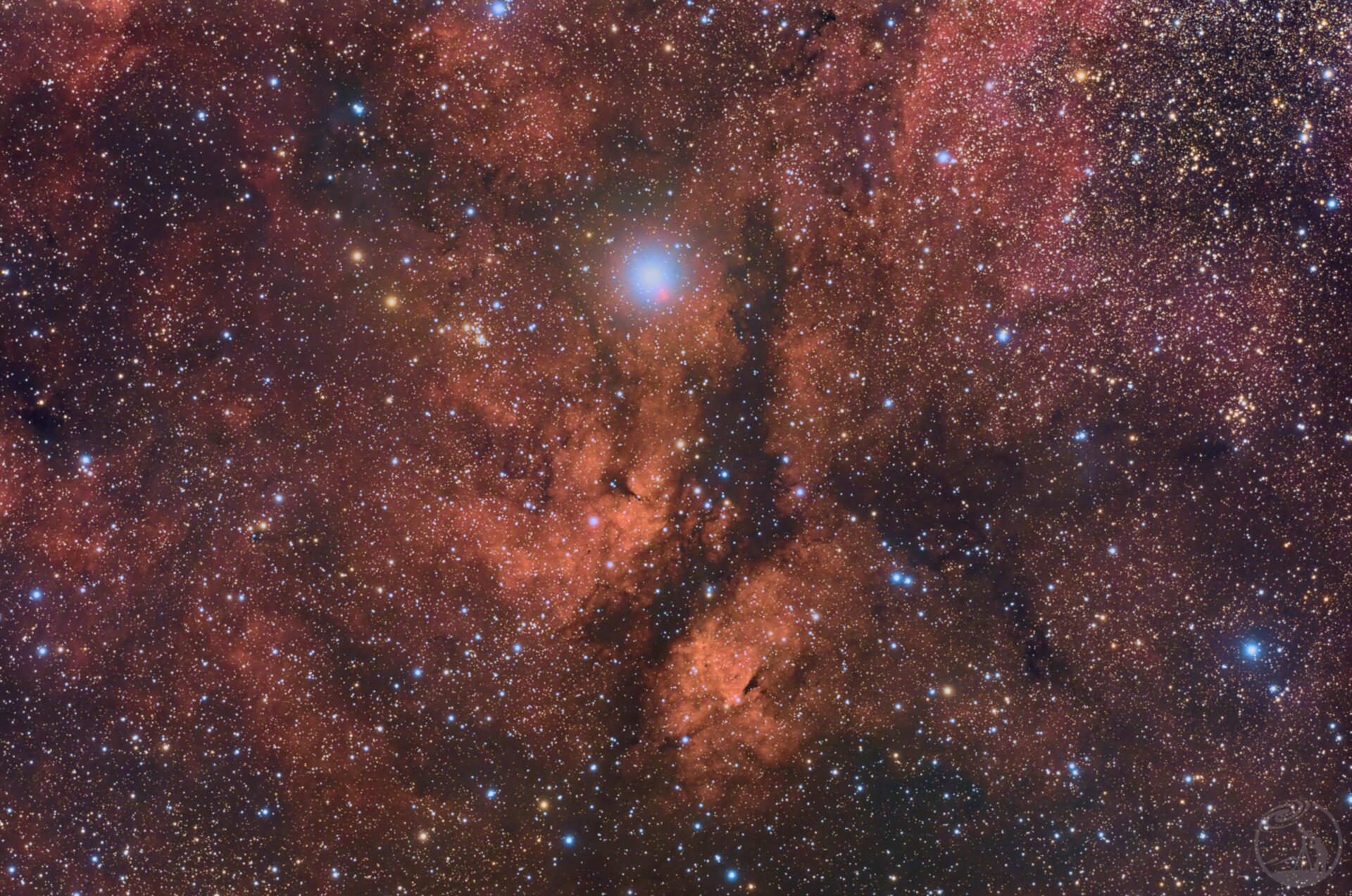 IC1318蝴蝶星云