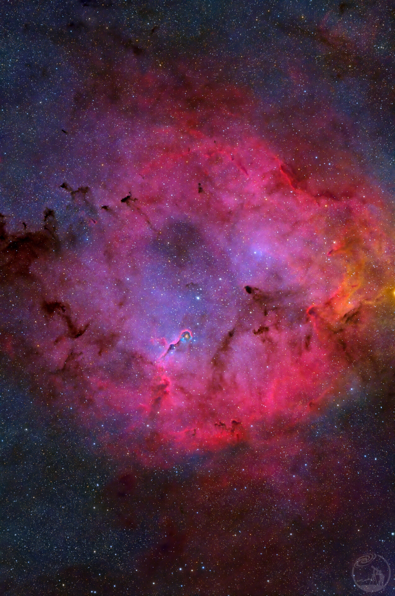 IC1396 象鼻星云广域