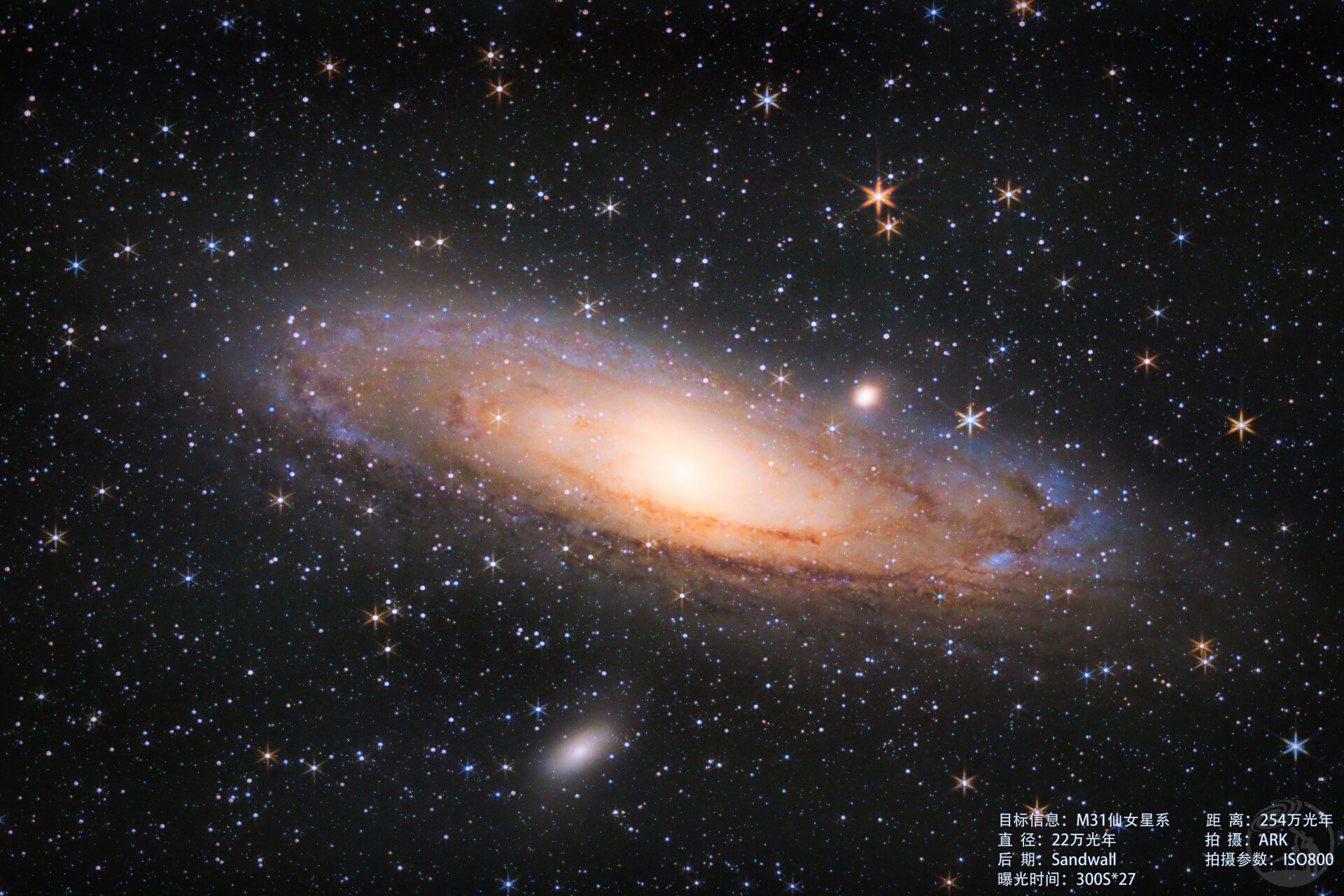 M31