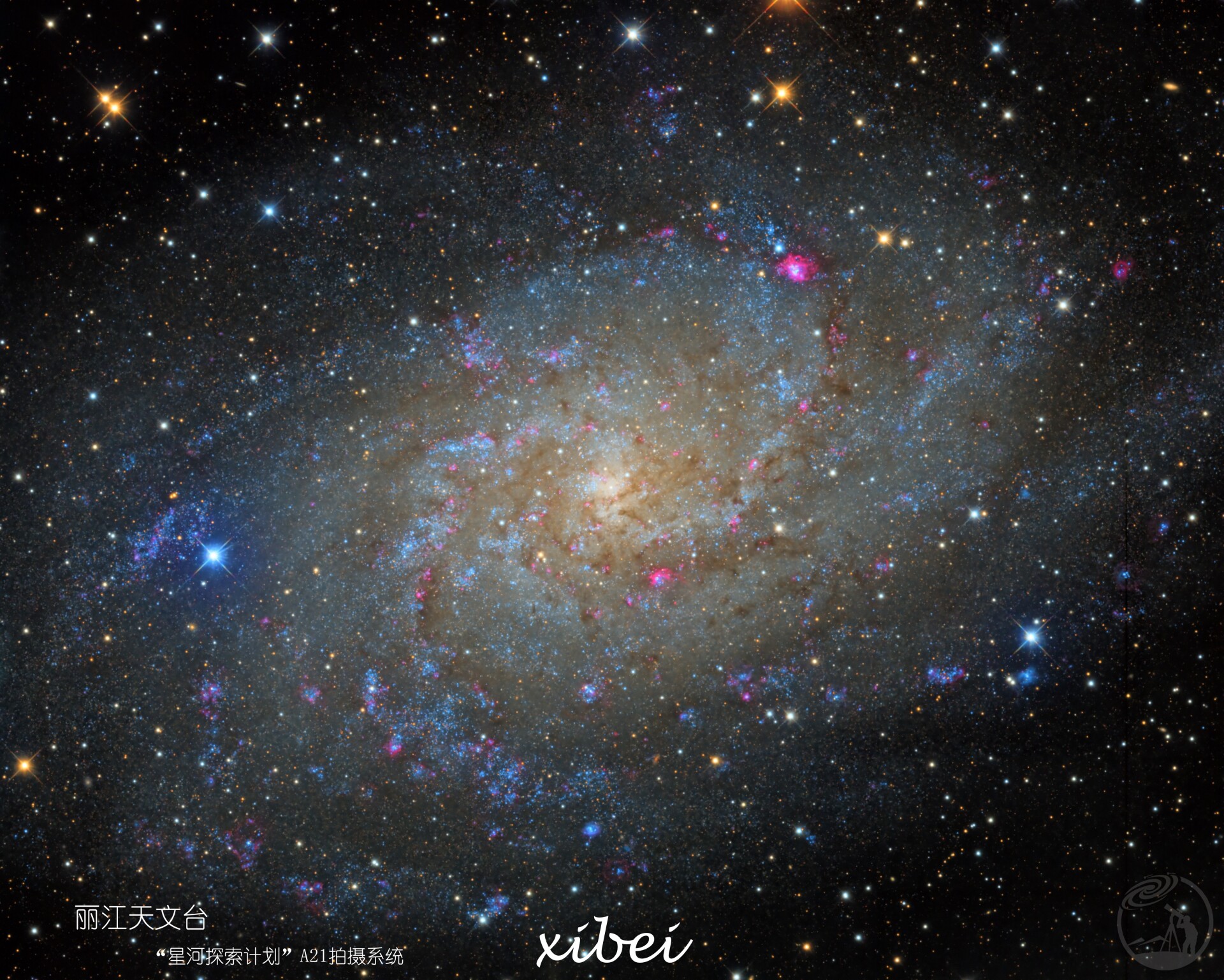 M33