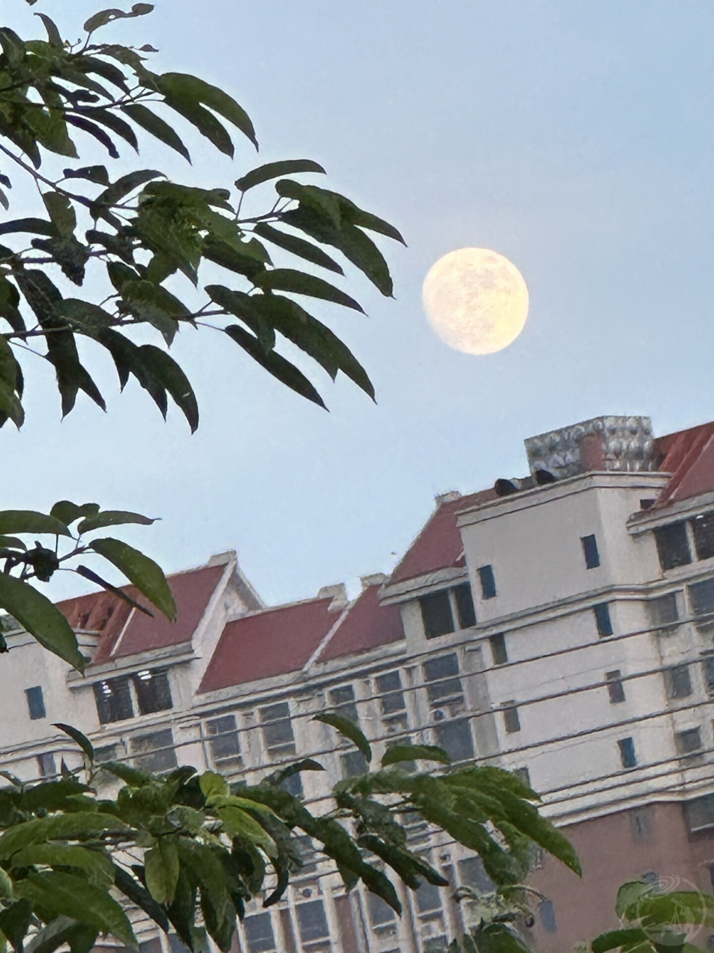 moon