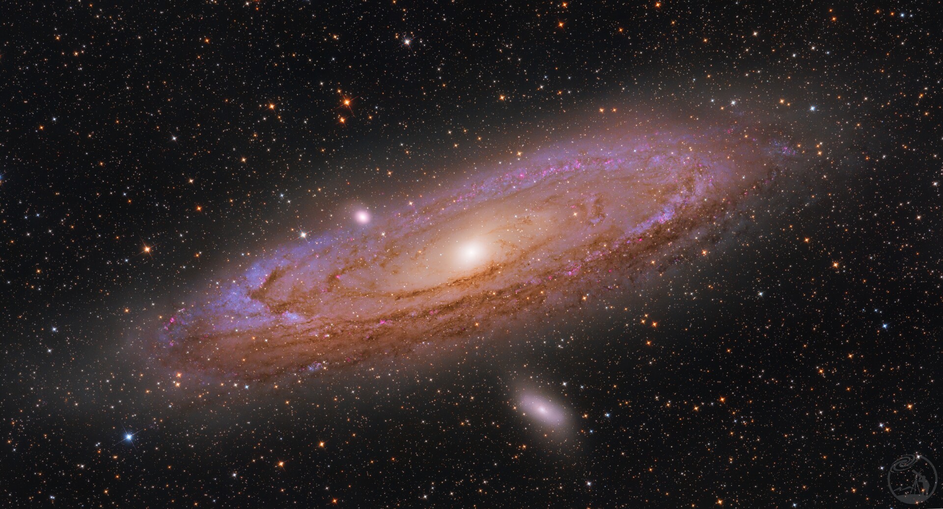 M31