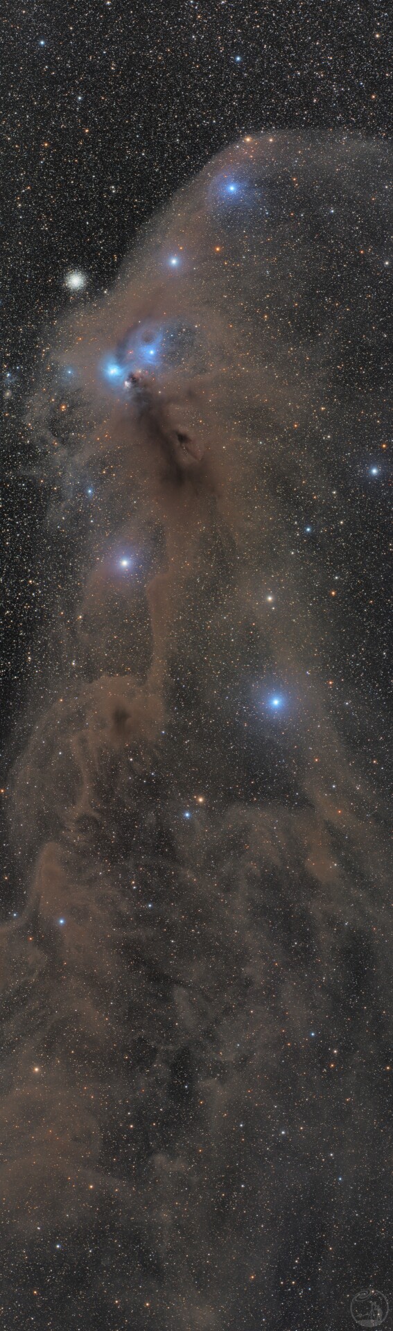 IC4812大龙虾与长长的龙虾尾