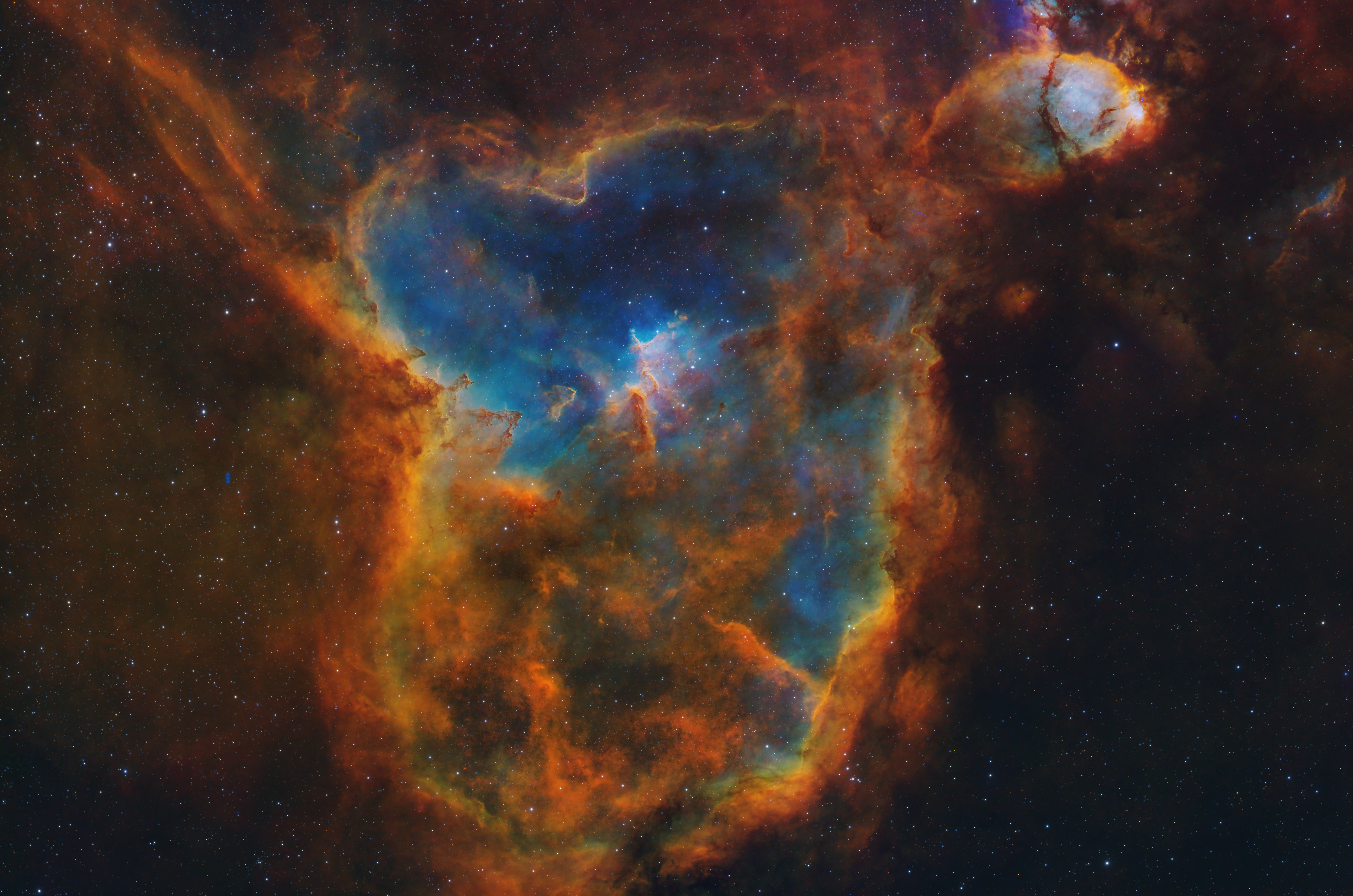 心脏和鱼头sho（每日一图素材）