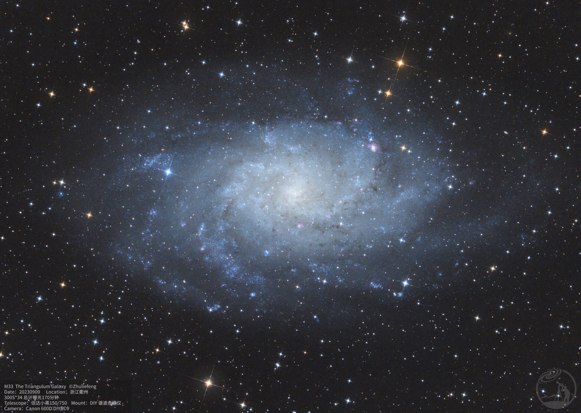 M33