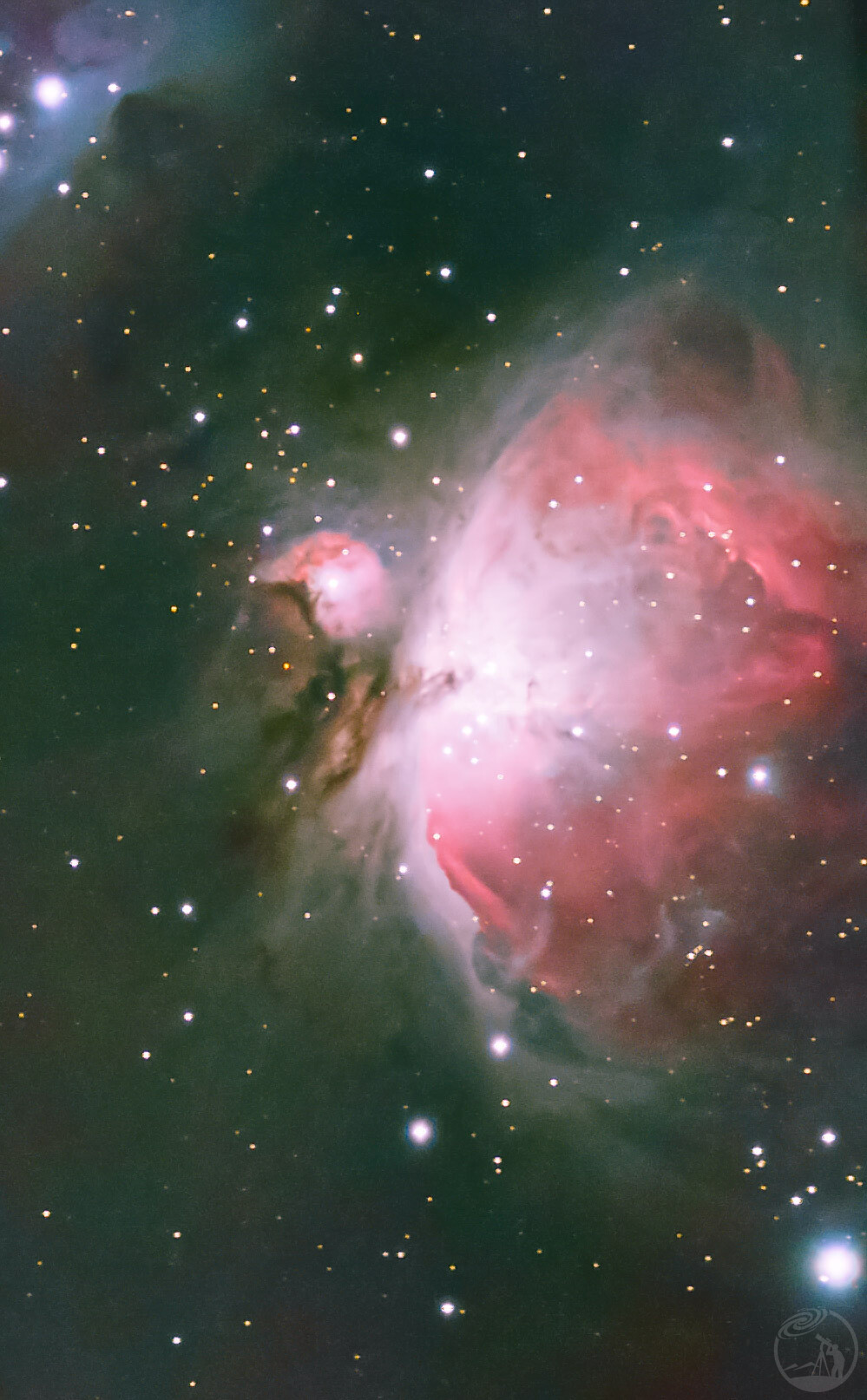 S50酱油M42