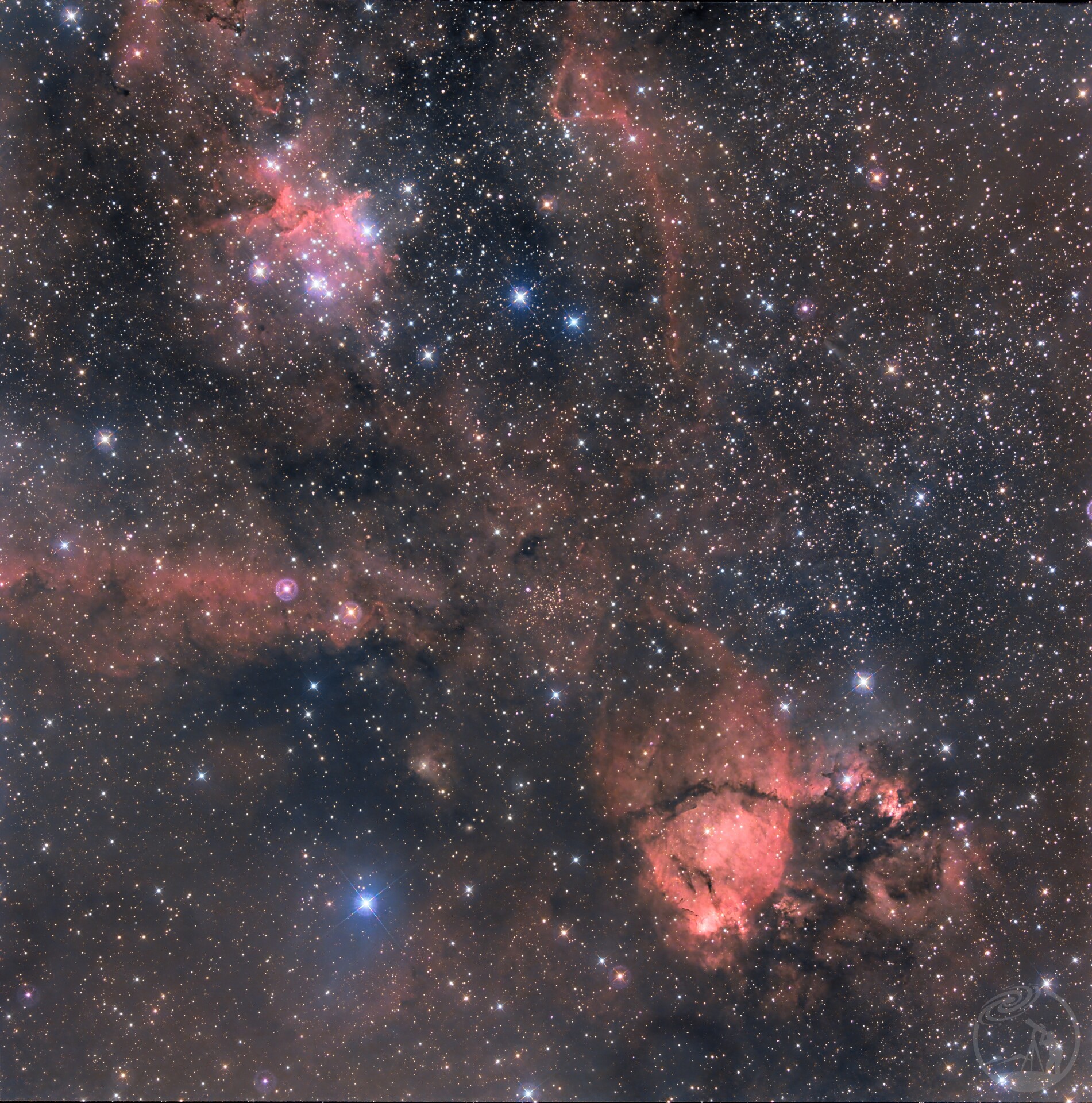 IC 1795 鱼头星云