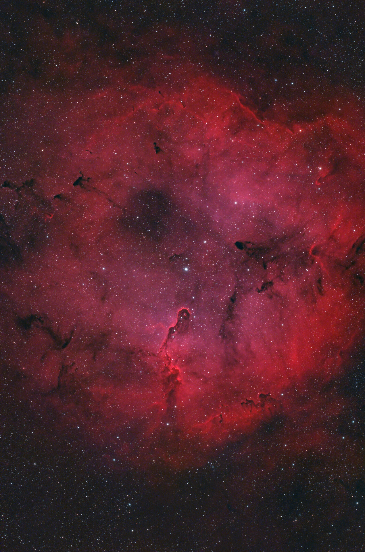 象鼻星云 IC1396