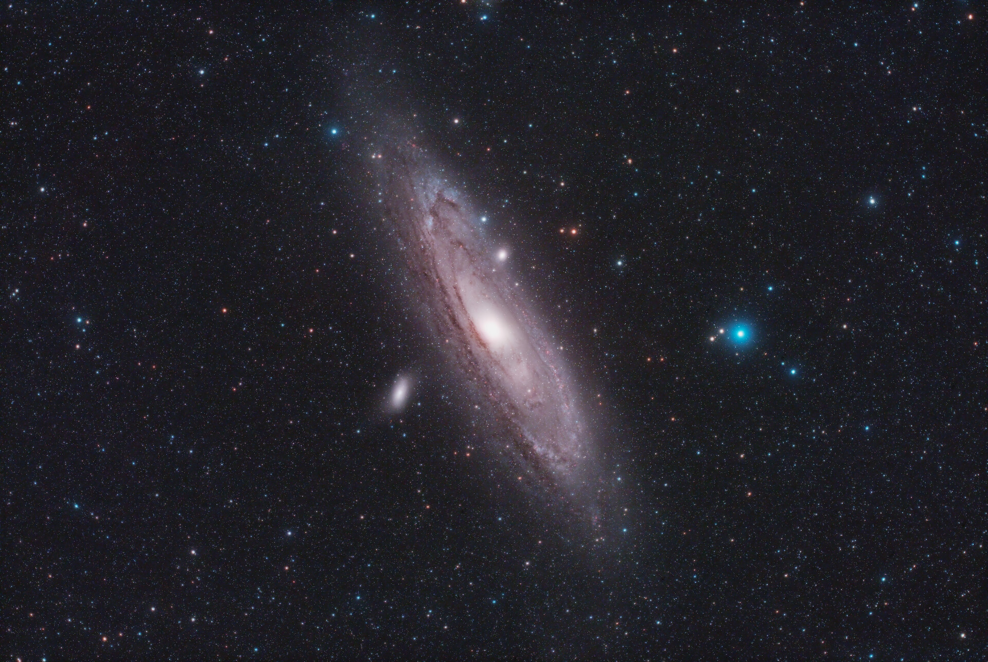 M31打野