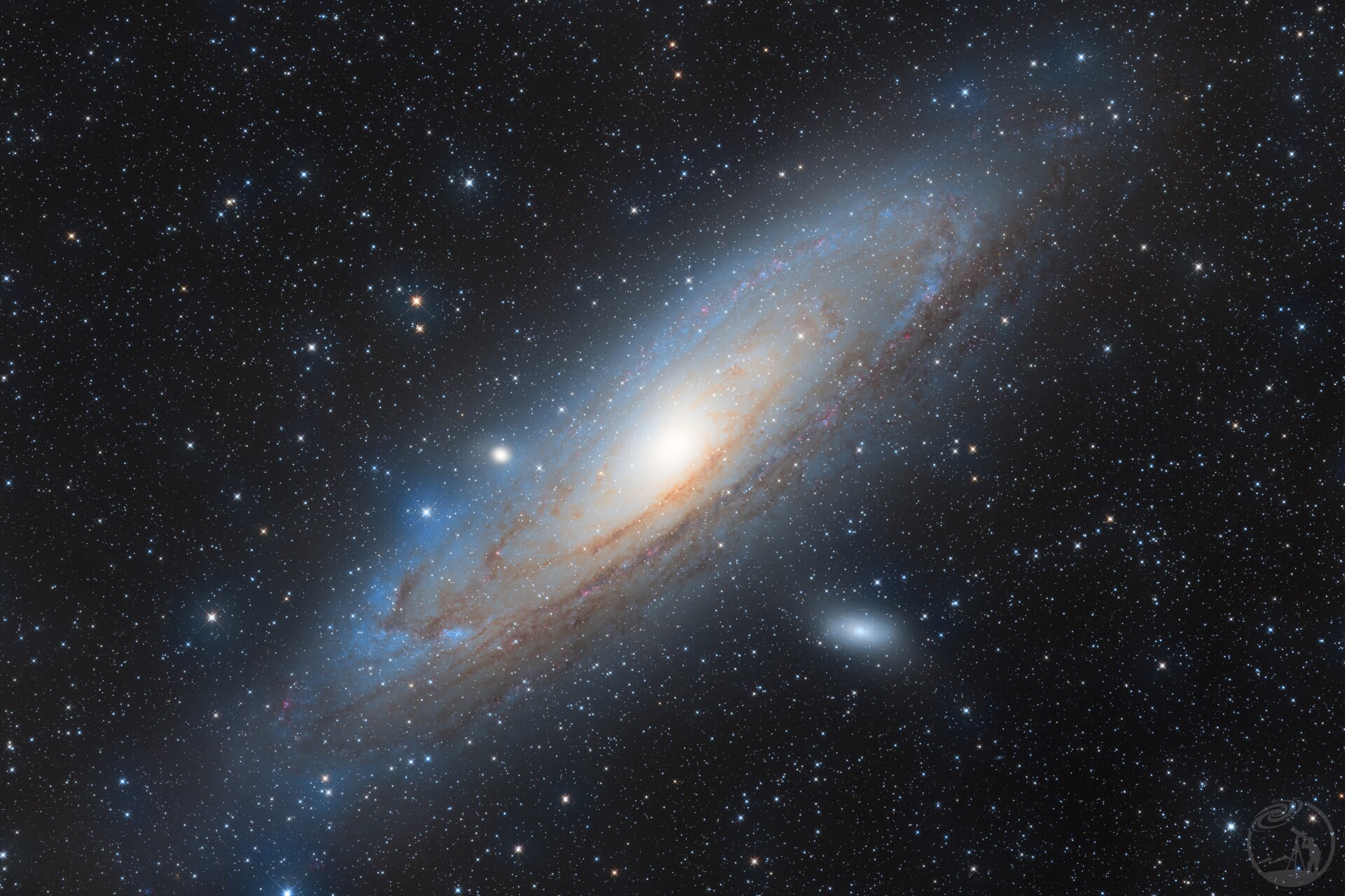 M31