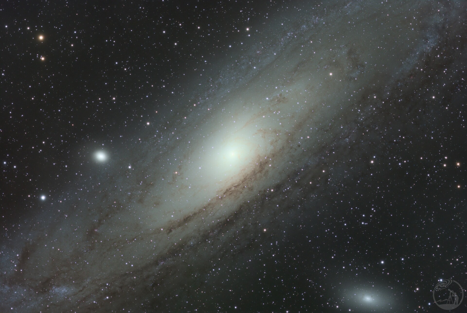 M31