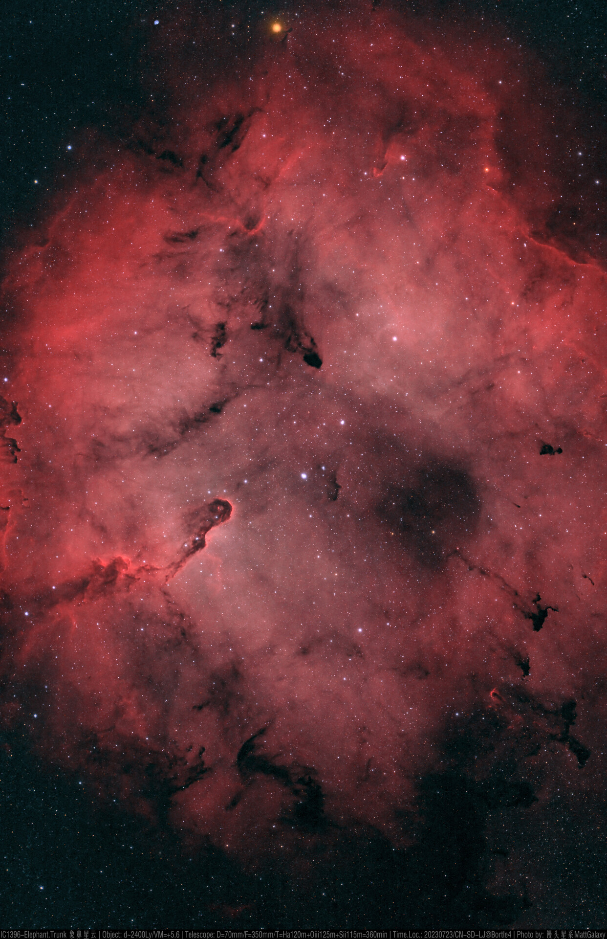 IC1396-Elephant.Trunk 象鼻星云（V2）