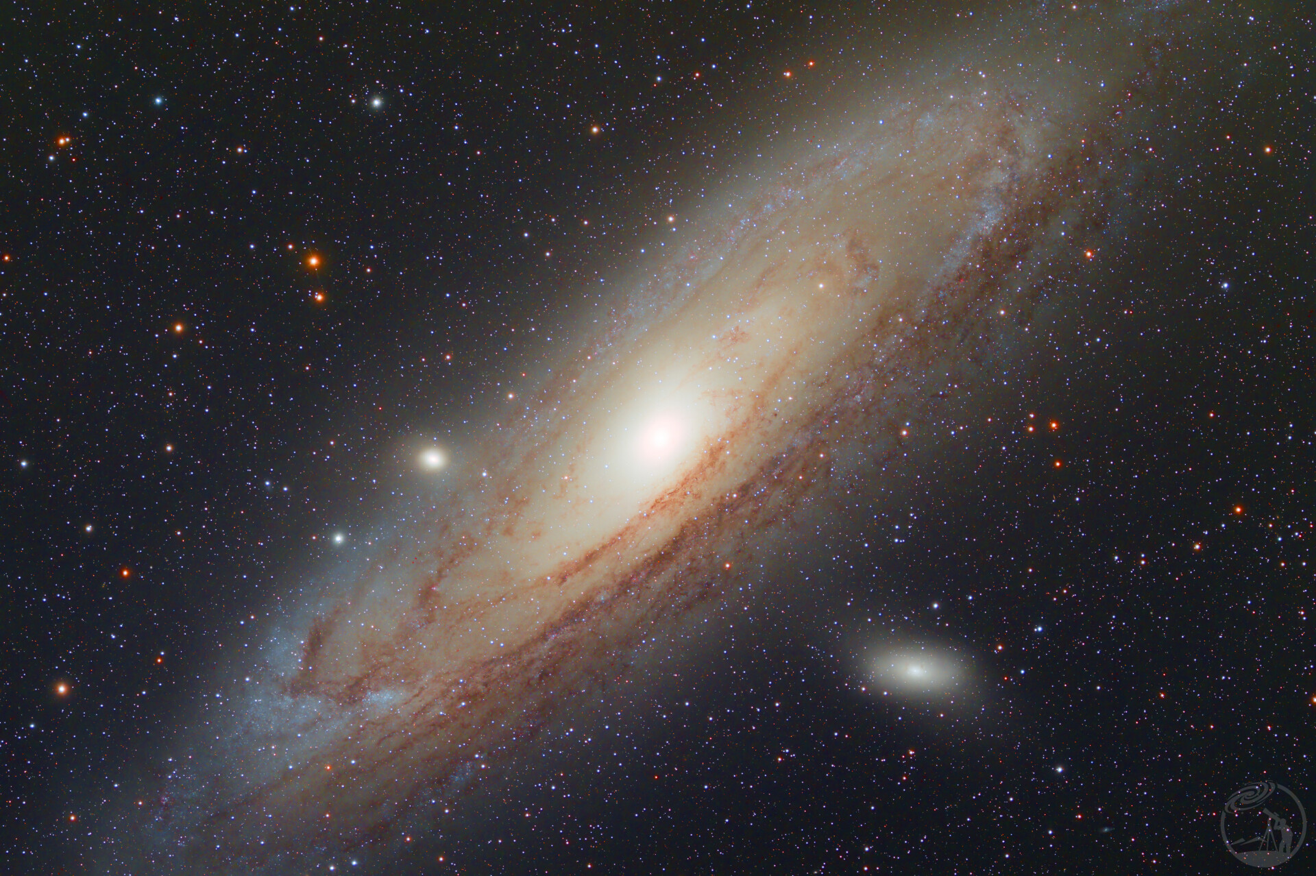 M31快餐