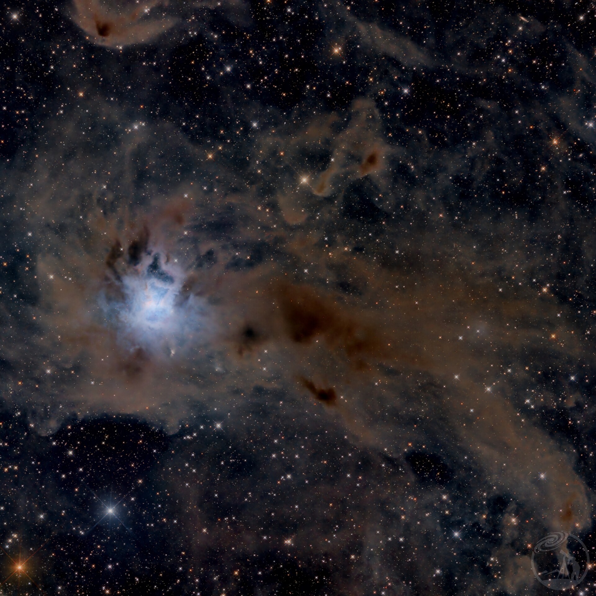 NGC7023 鸢尾花