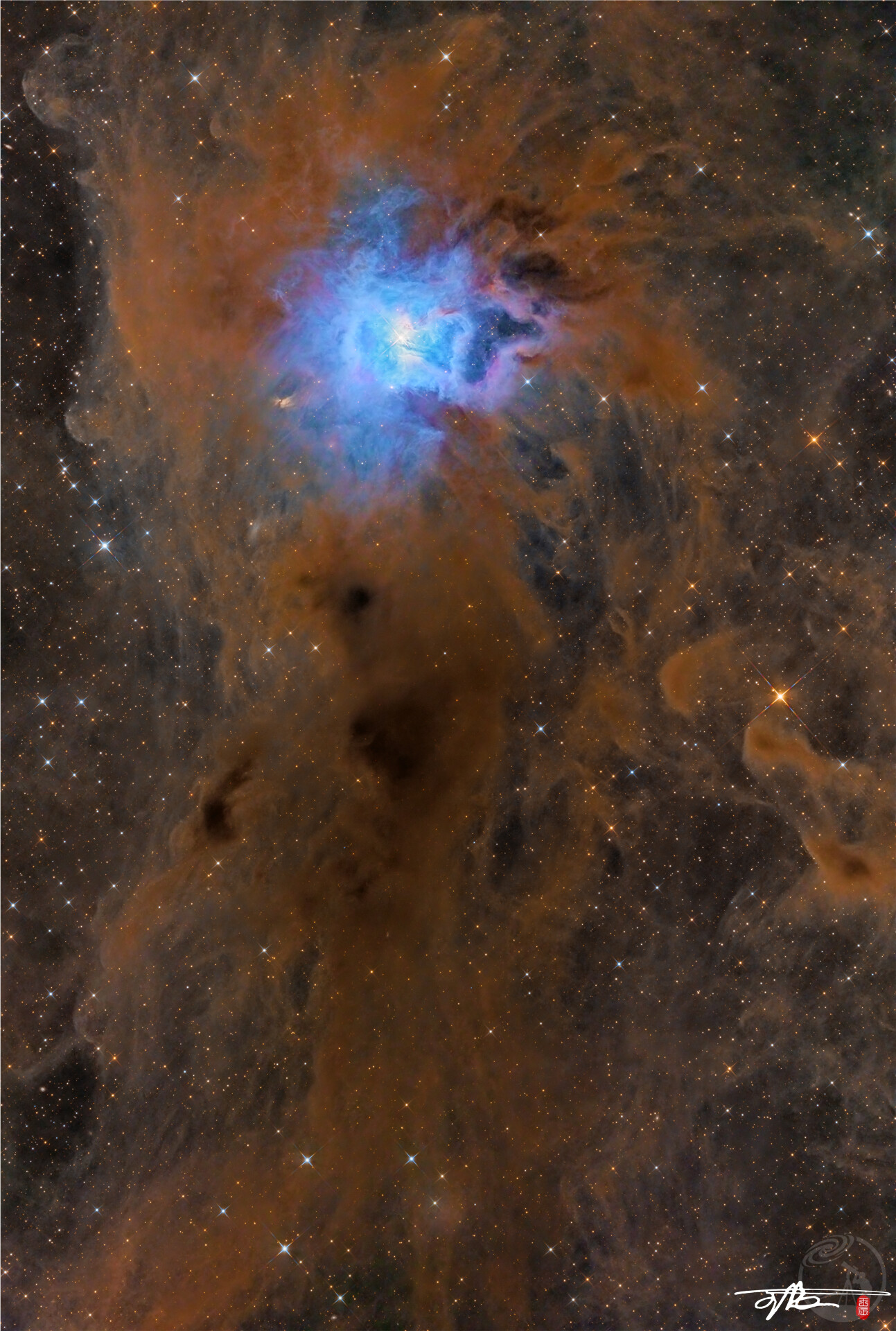 NGC7023鸢尾花