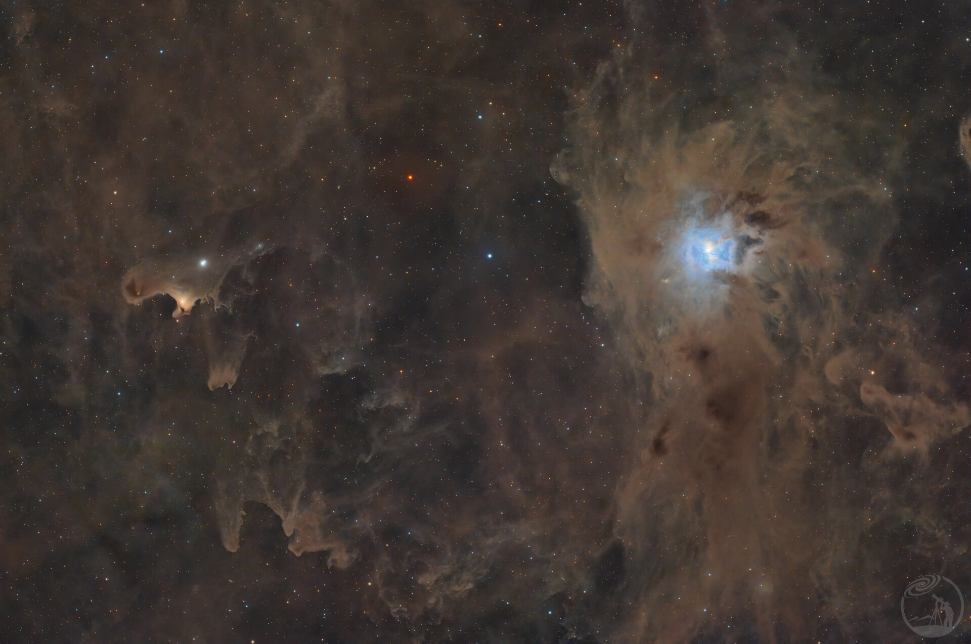 NGC7023鸢尾花+vdB141鬼魂星云