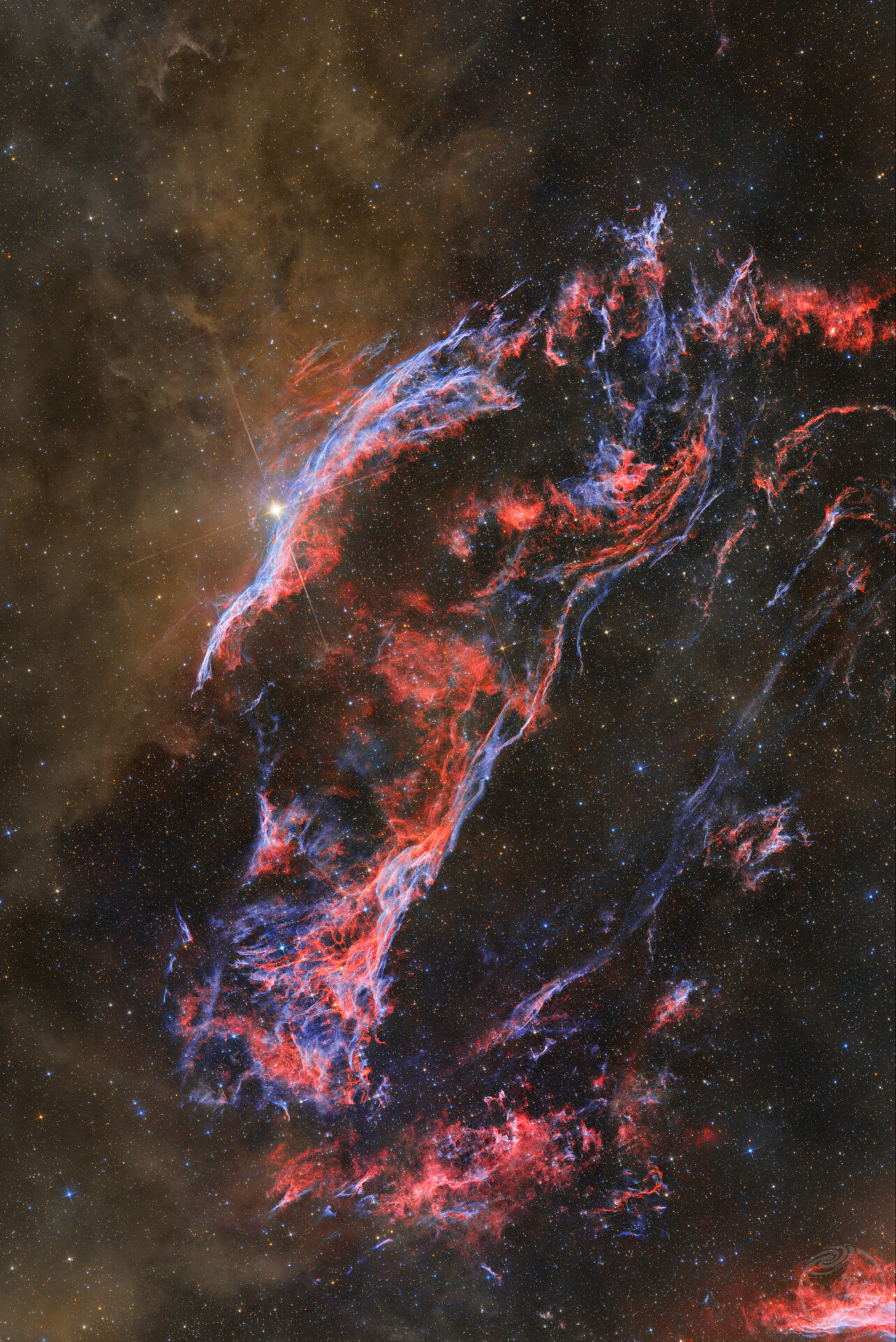 The True Face of the Western Veil Nebula 