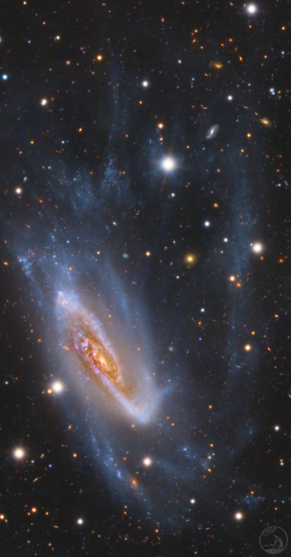 NGC3981