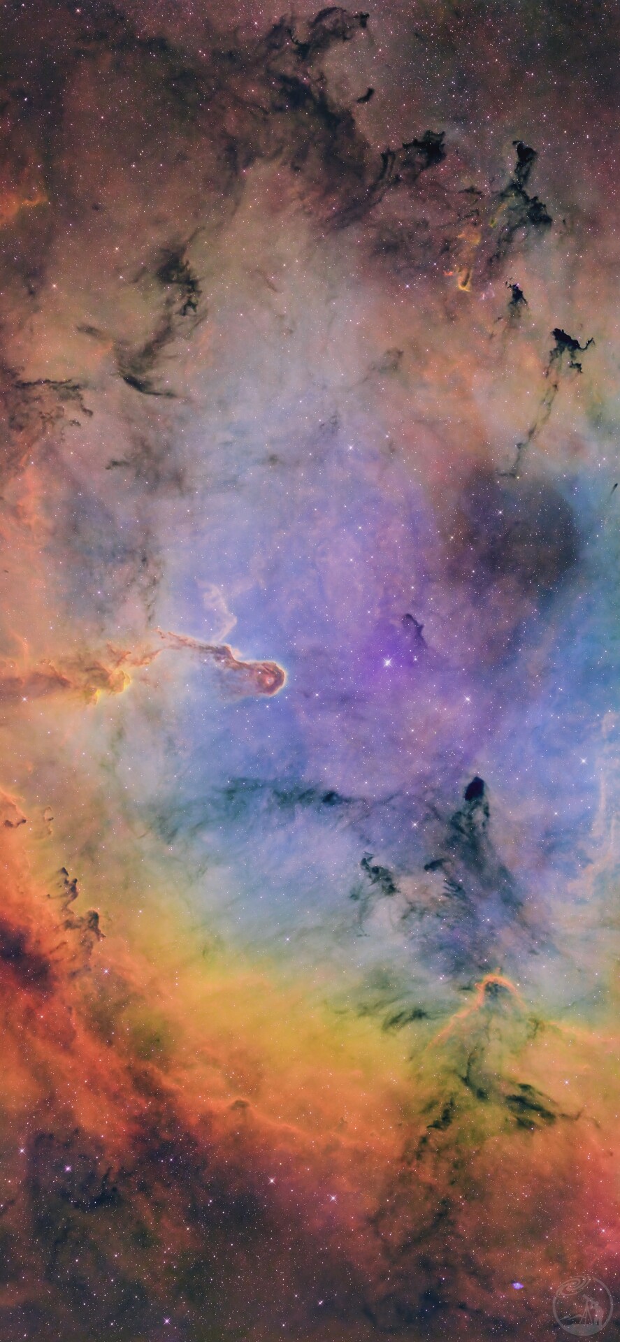IC1396