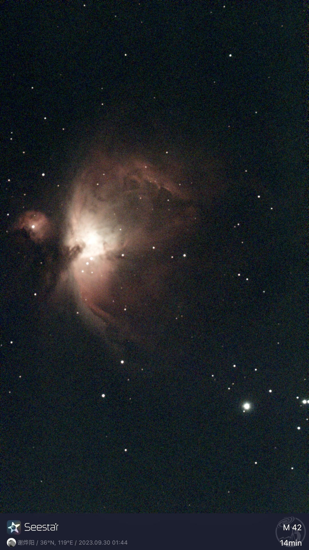 M42