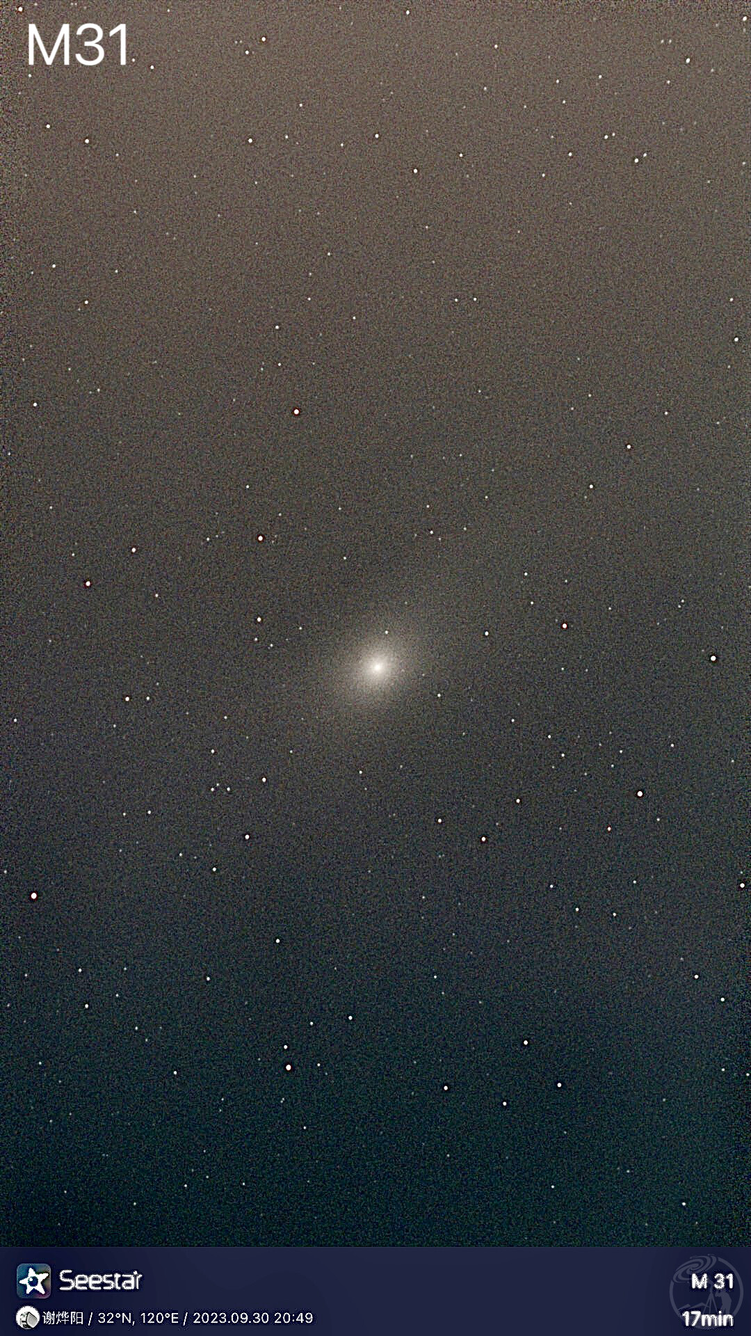 M31