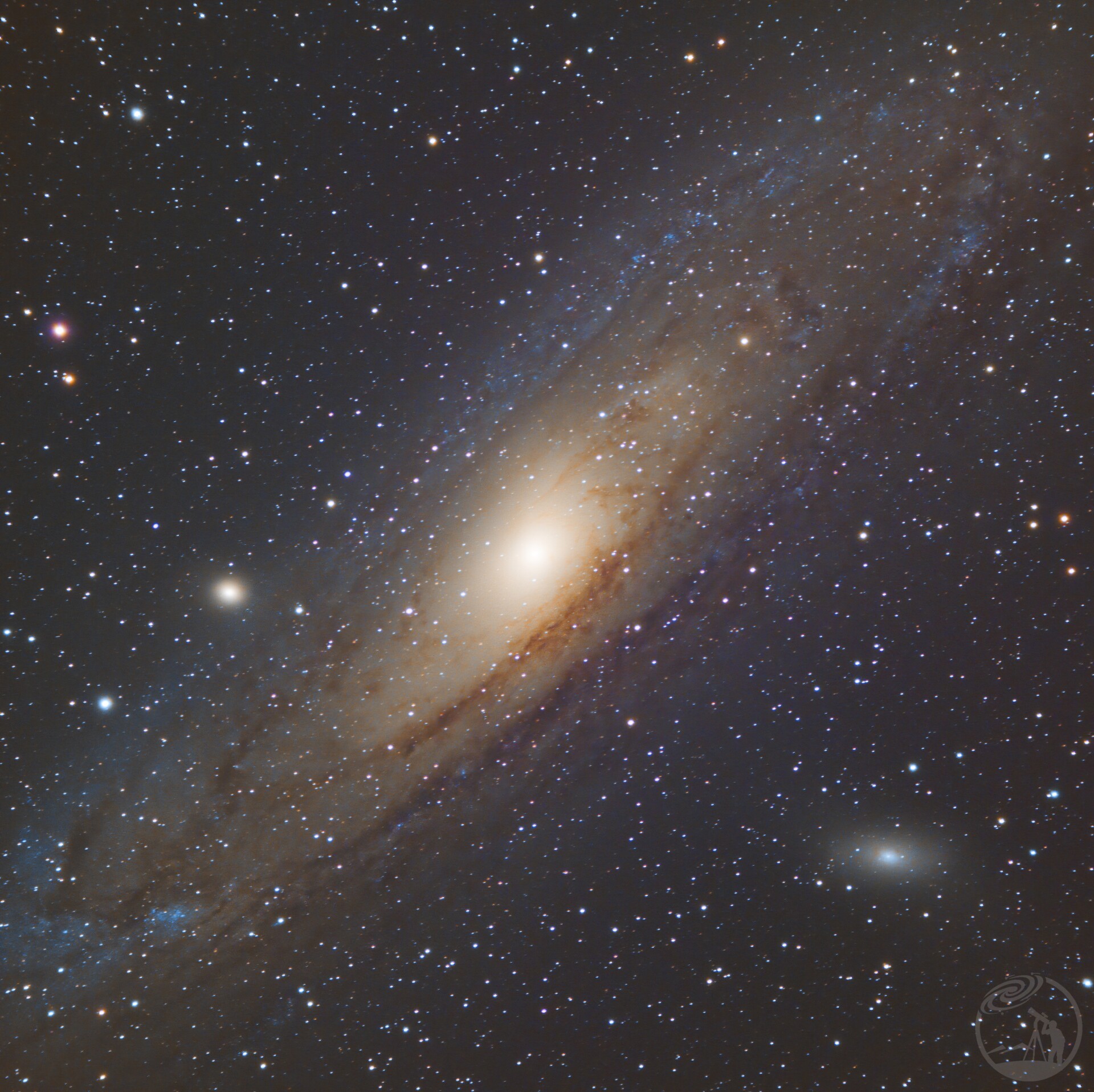 M31