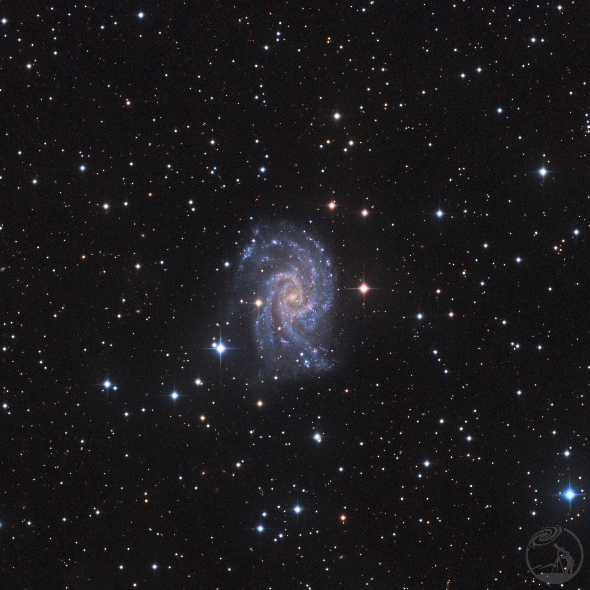 ngc2835