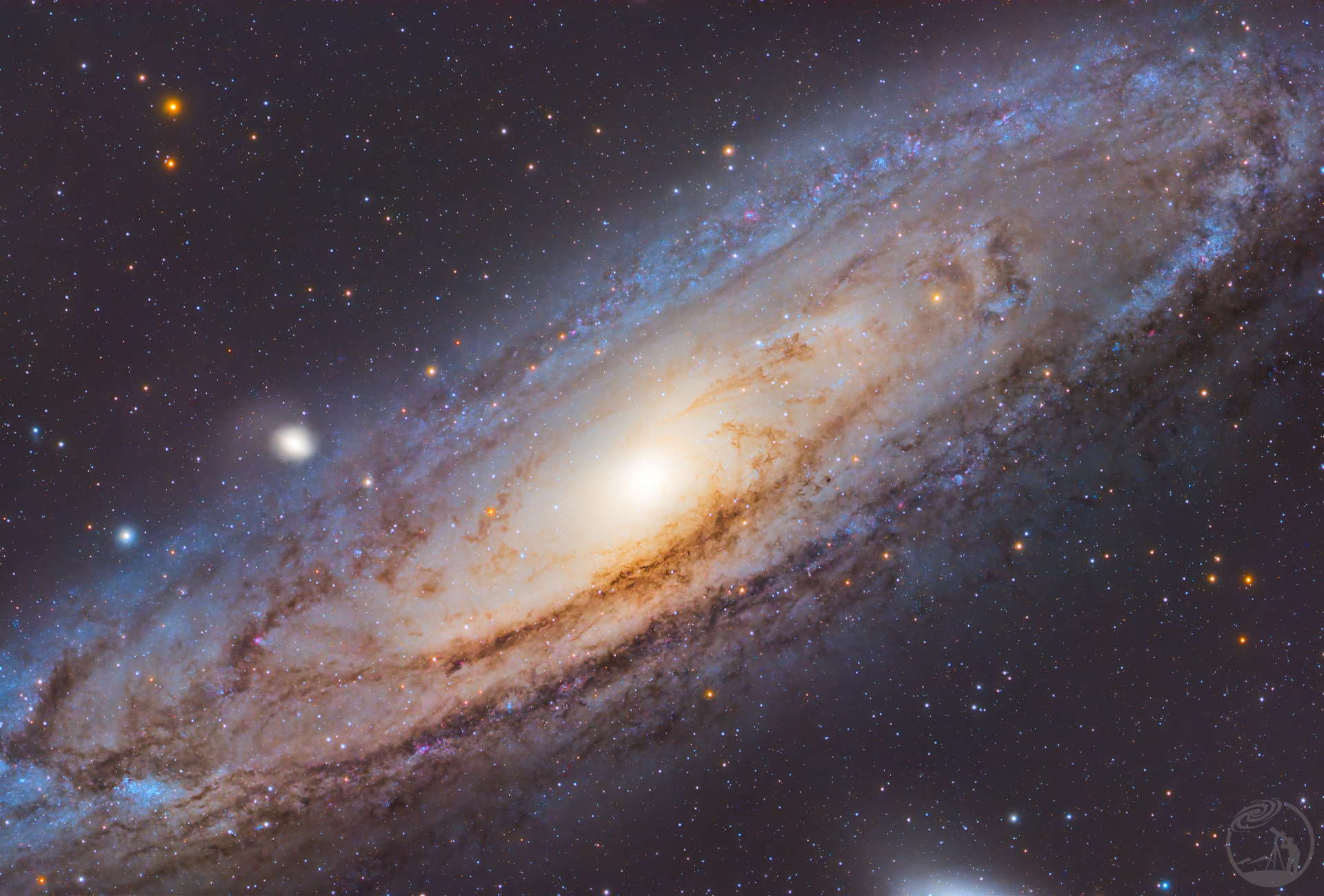 M31