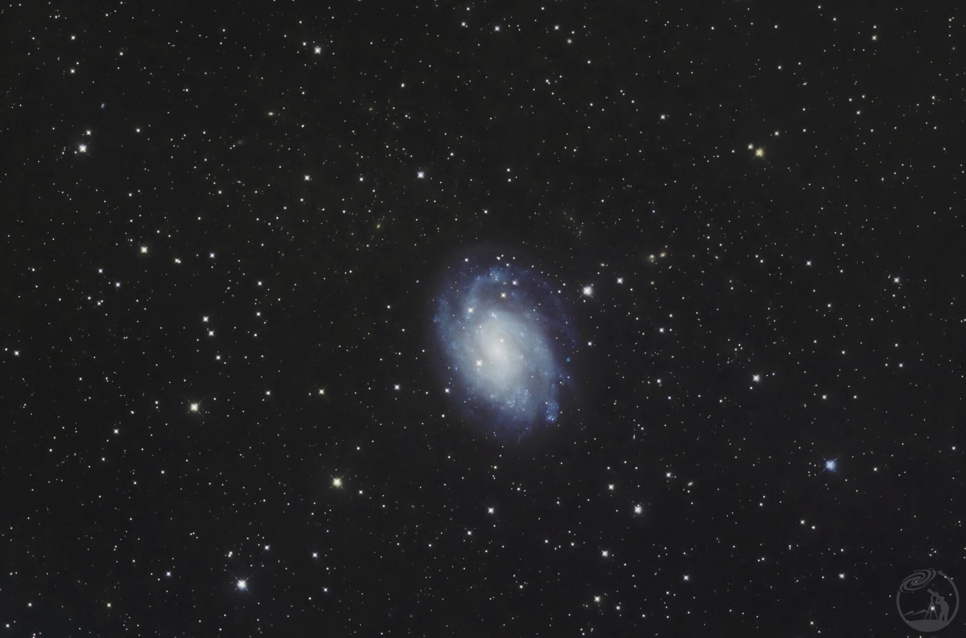 NGC300