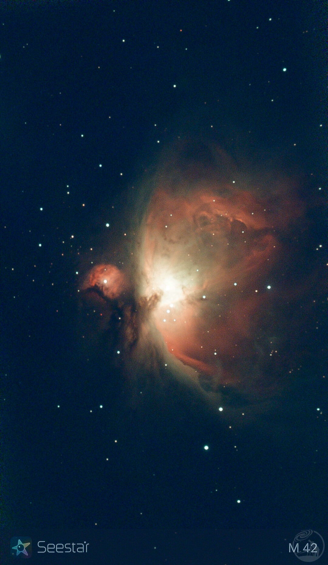 M42