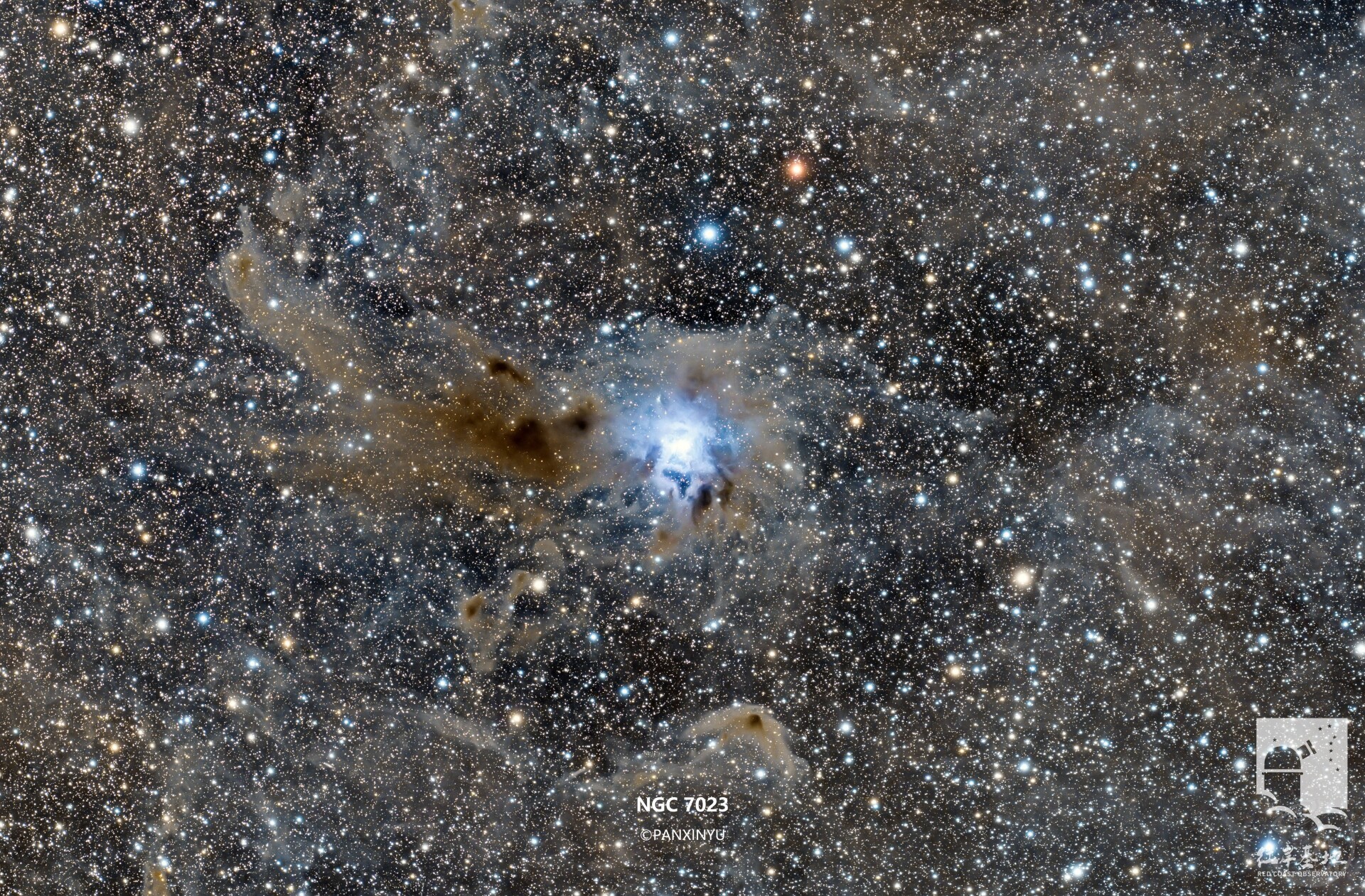 24.6小时的鸢尾花星云