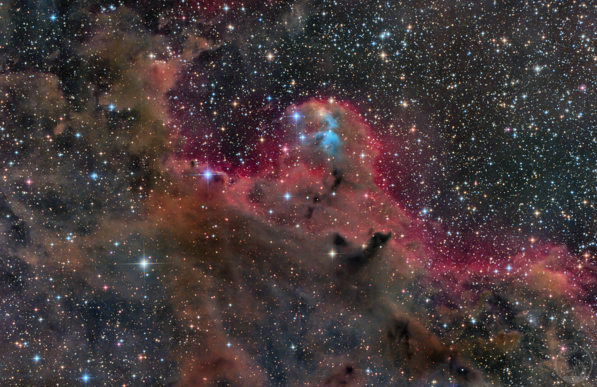 Cederblad 51 in Orion