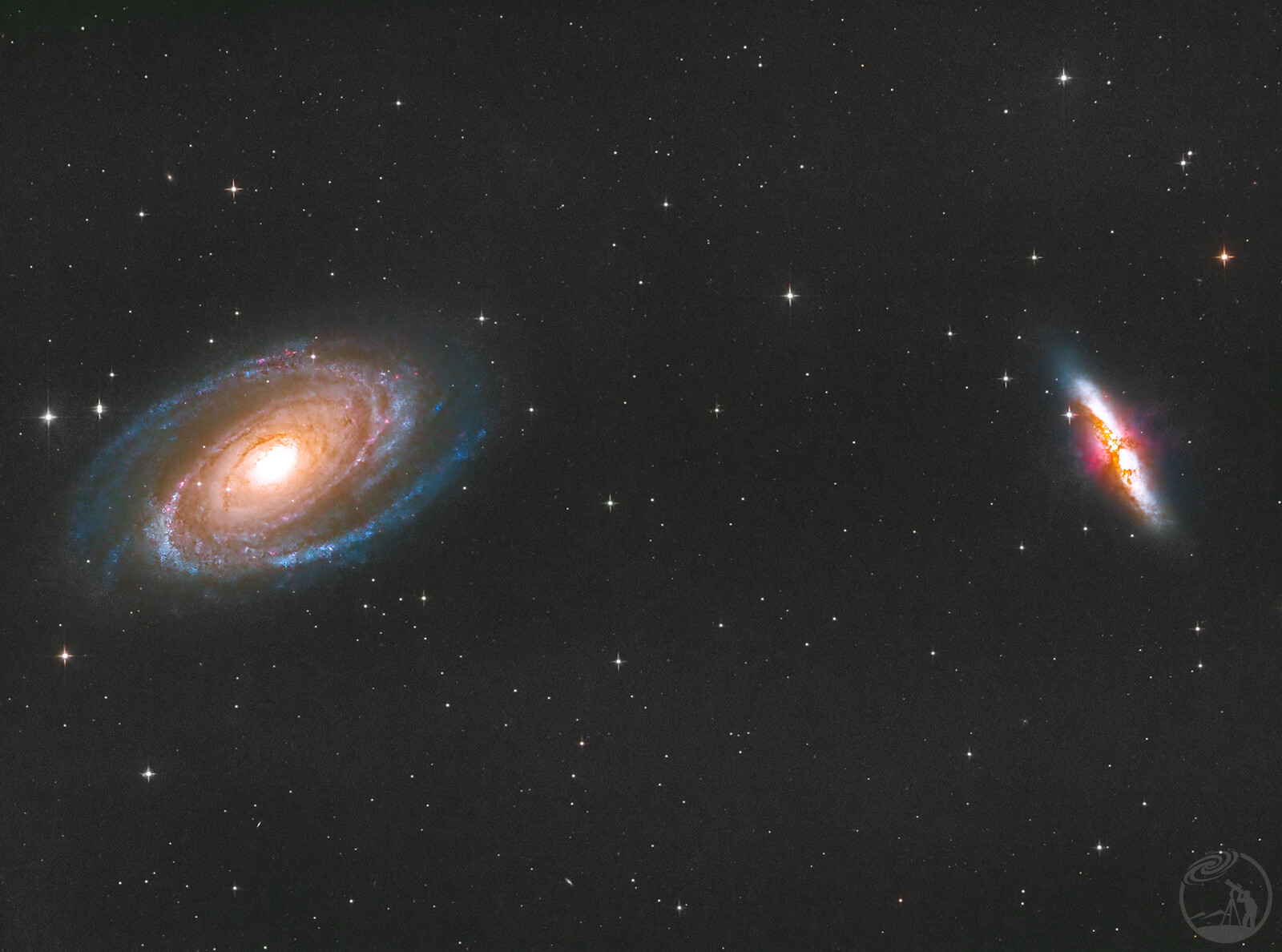 M81