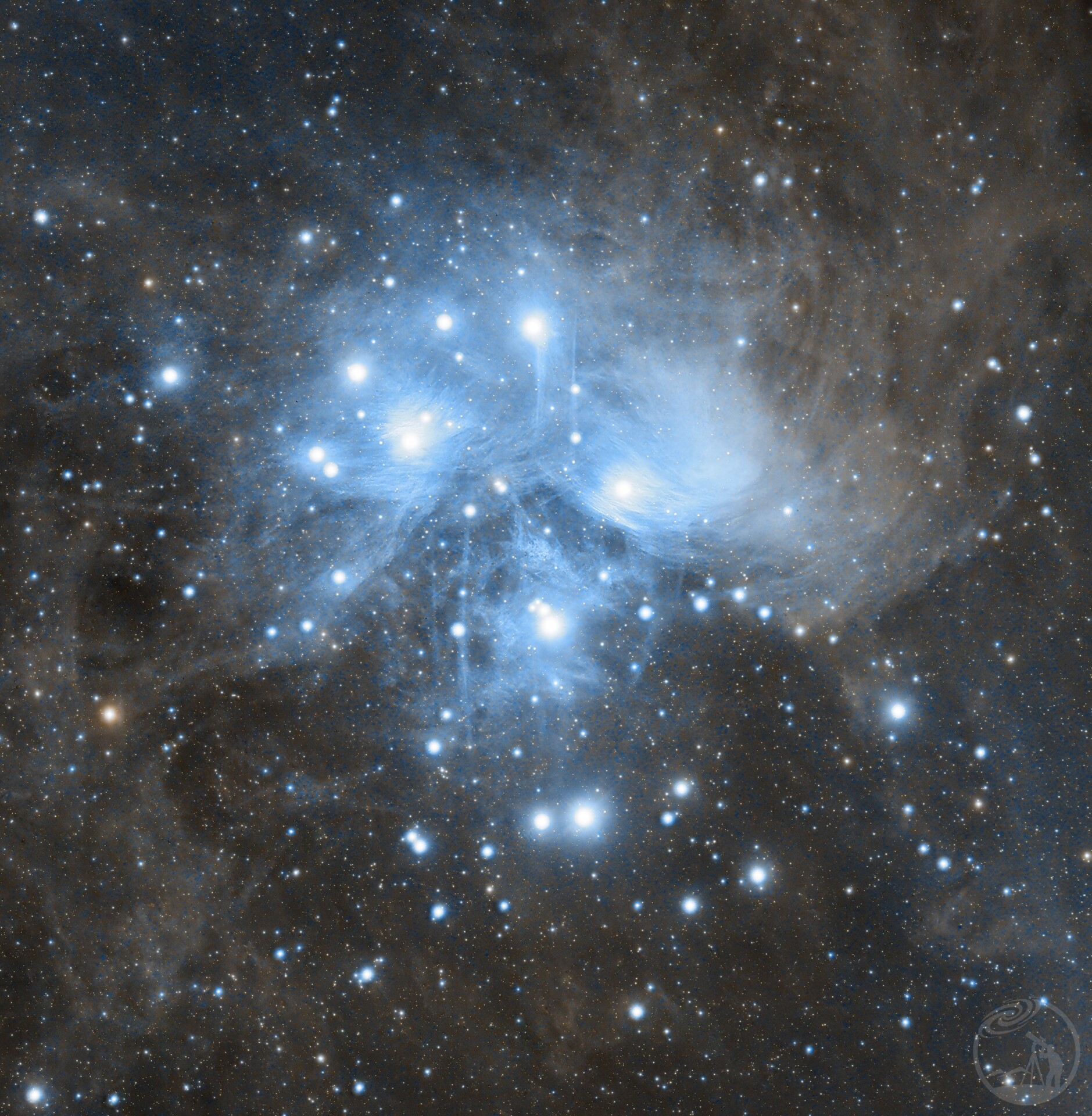 M45双树打野