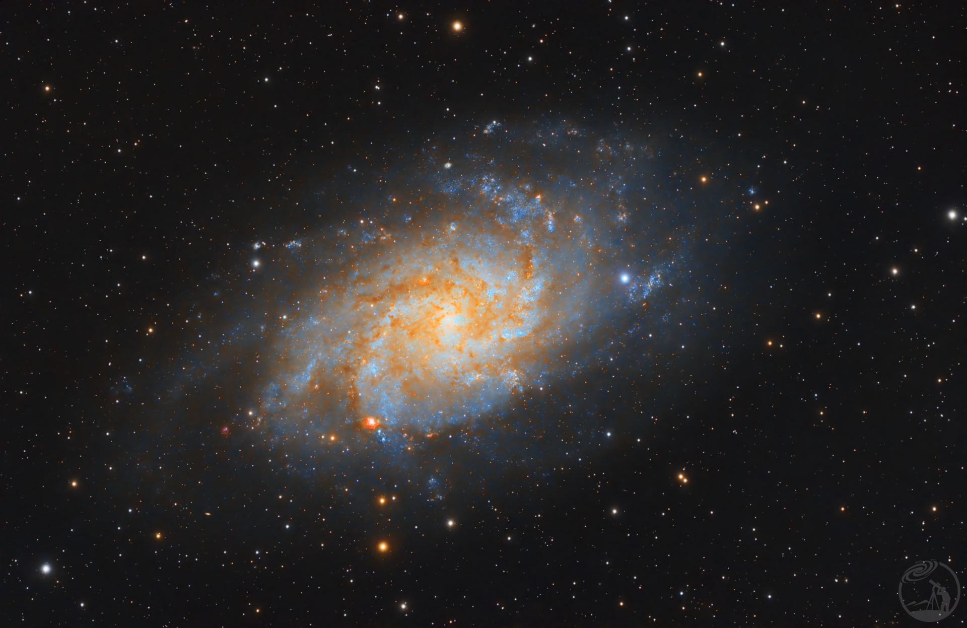 M33