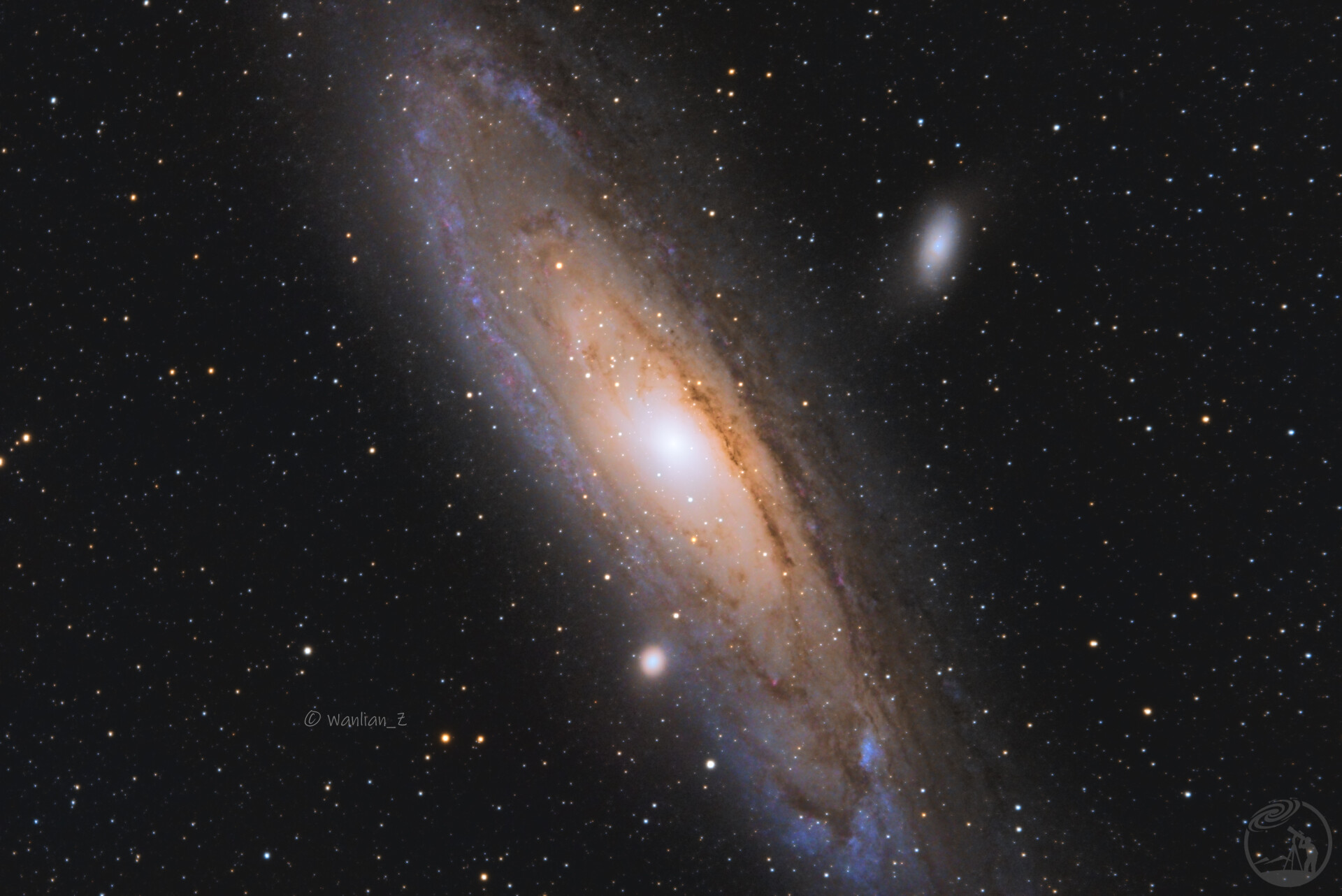 M31