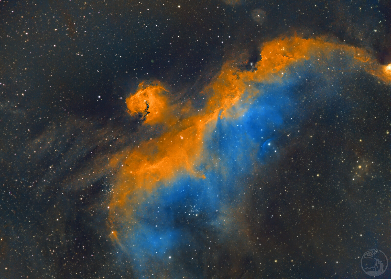 IC2177