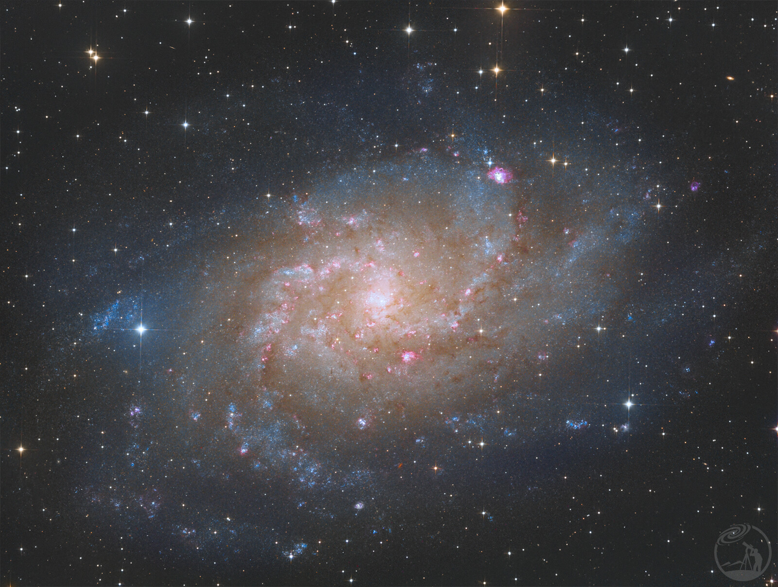M33