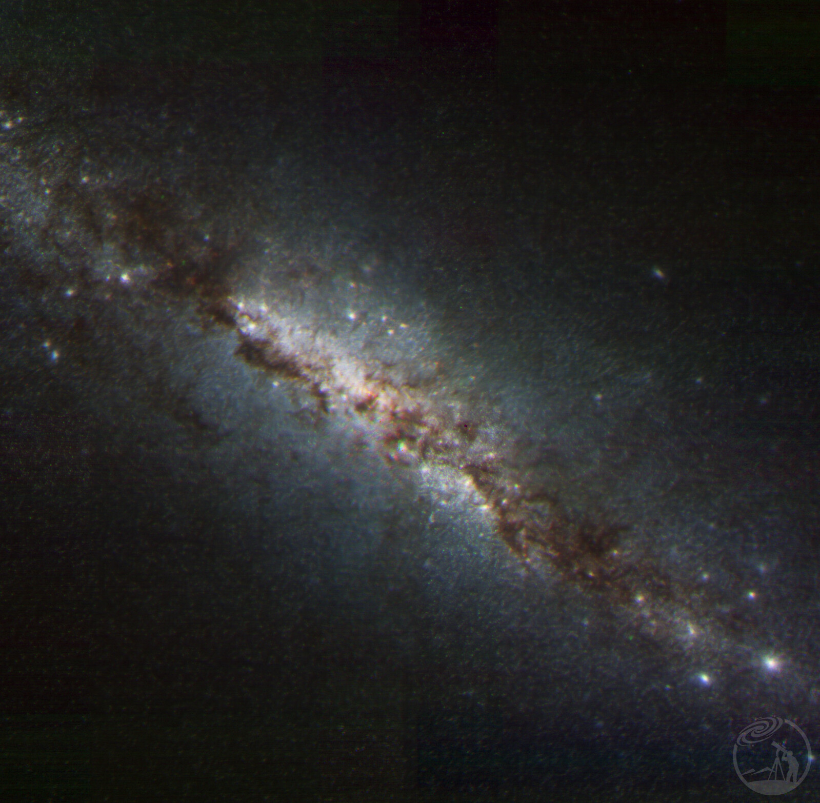 M82-韦伯的视角下