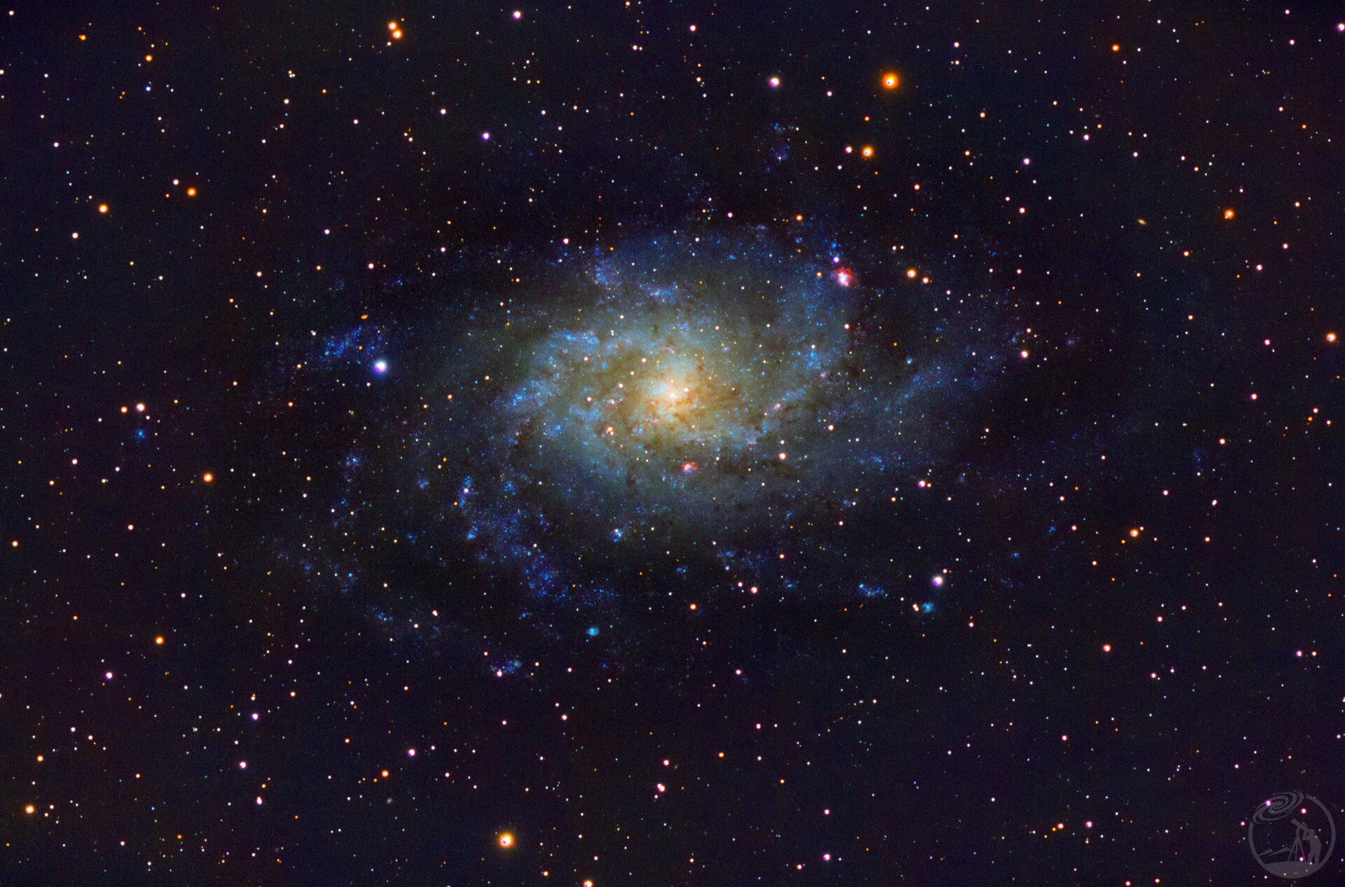 M33