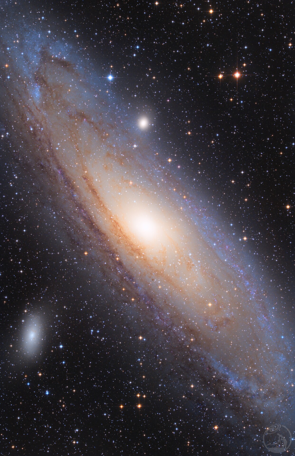 m31