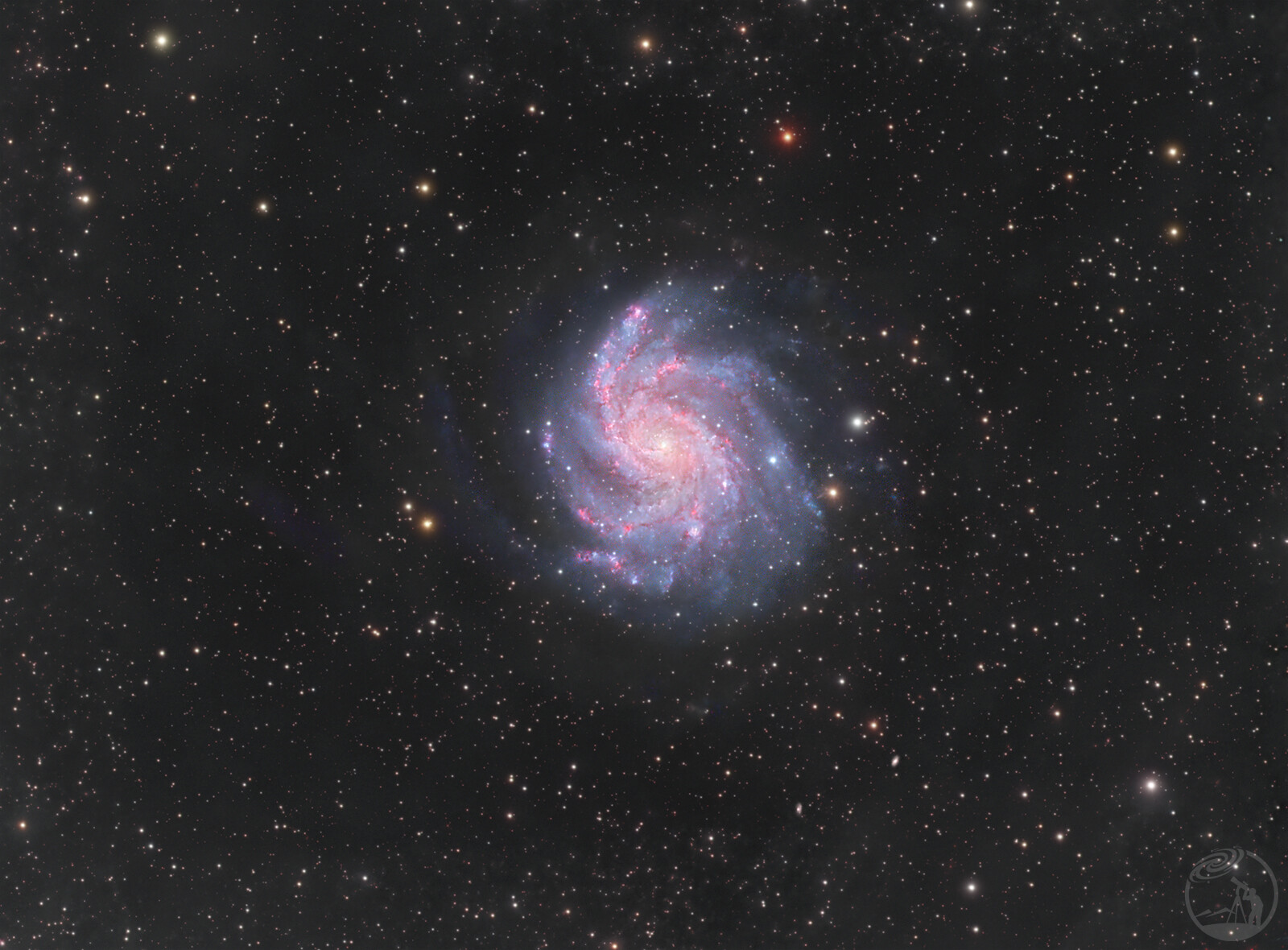 NGC6946